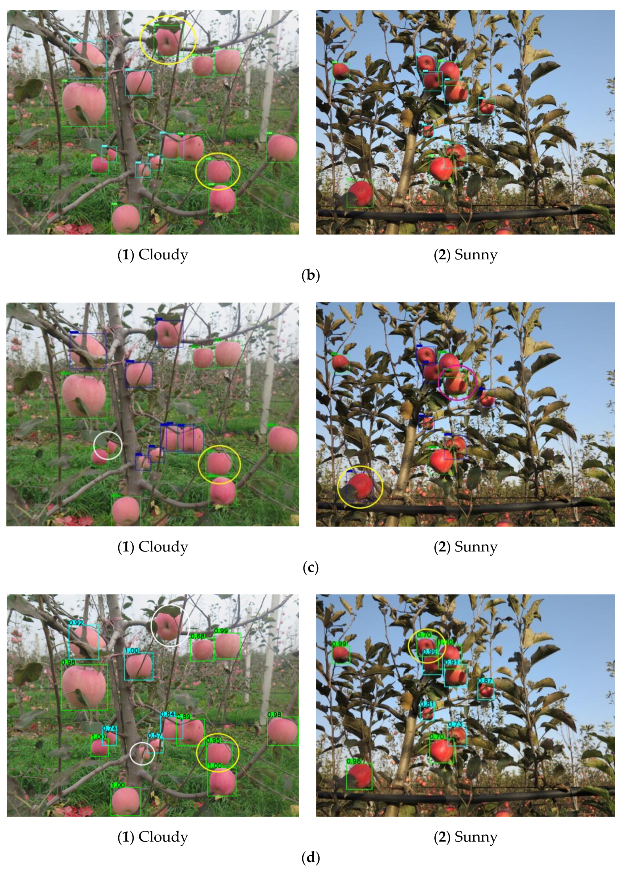 Remotesensing 13 01619 g015b