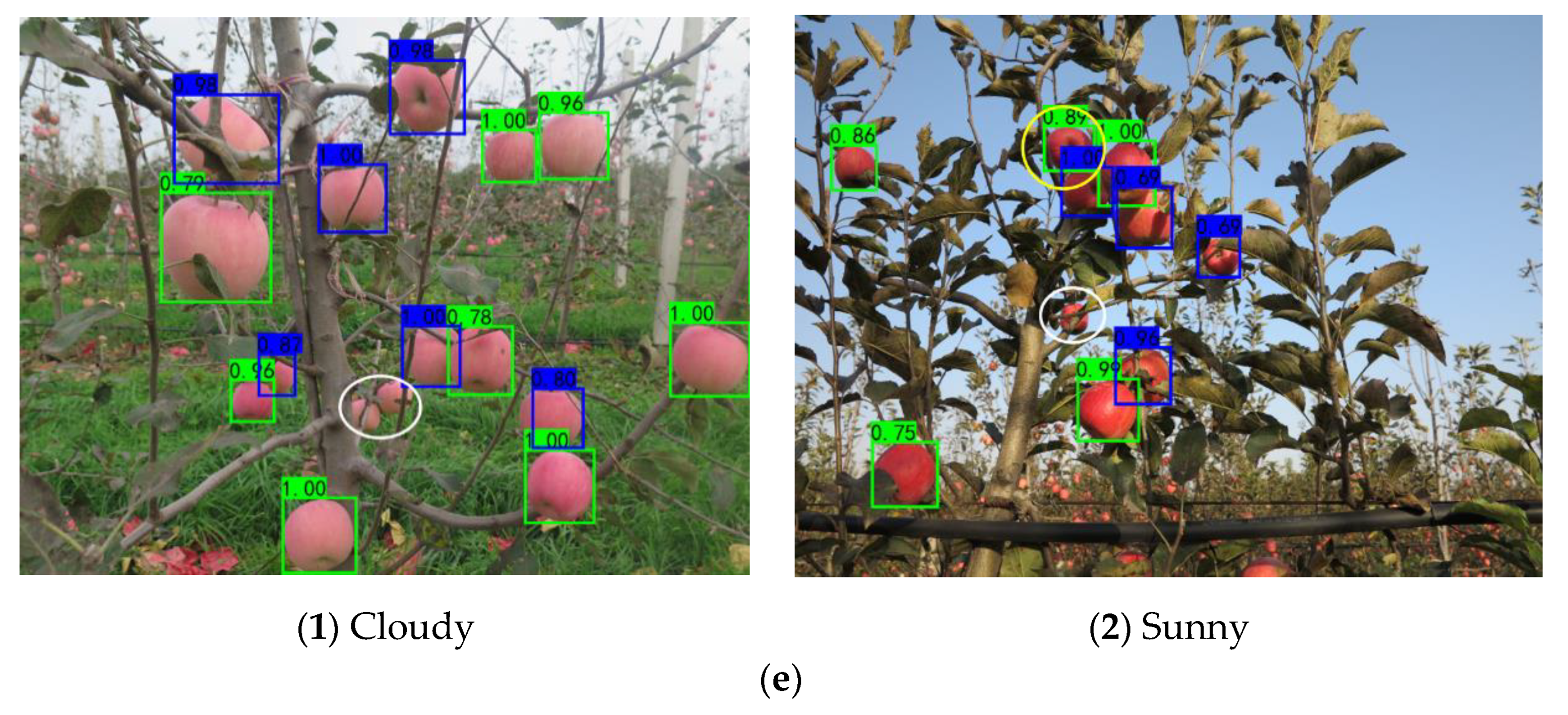 Remotesensing 13 01619 g015c