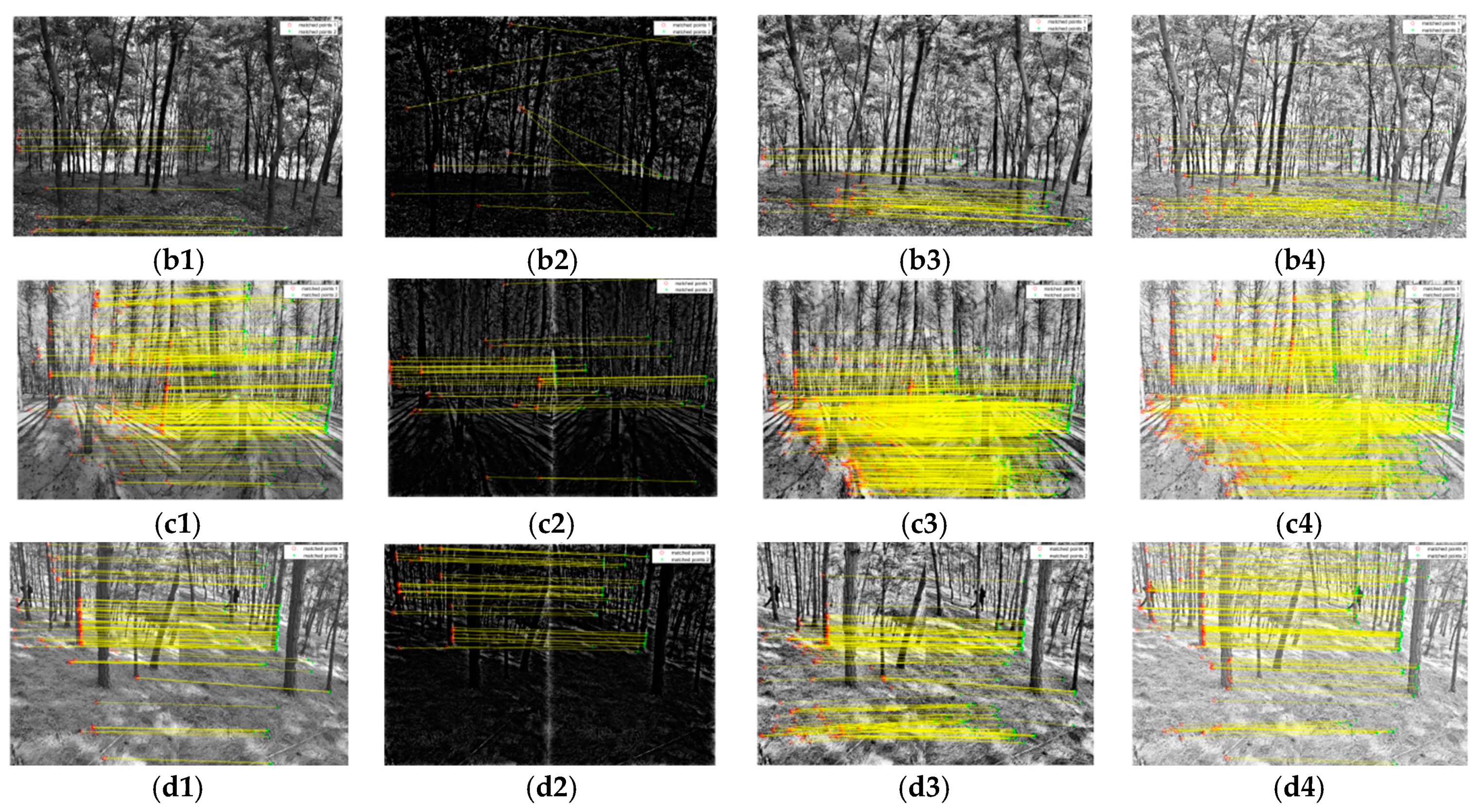 Remotesensing 13 01633 g005b