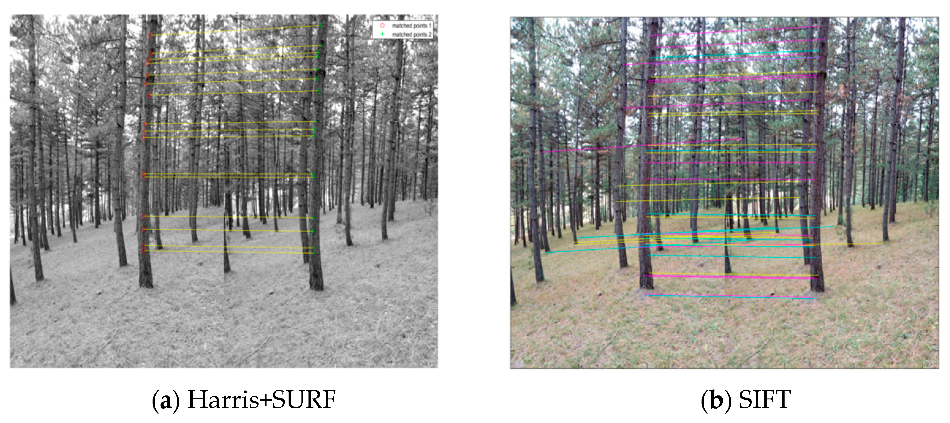 Remotesensing 13 01633 g006