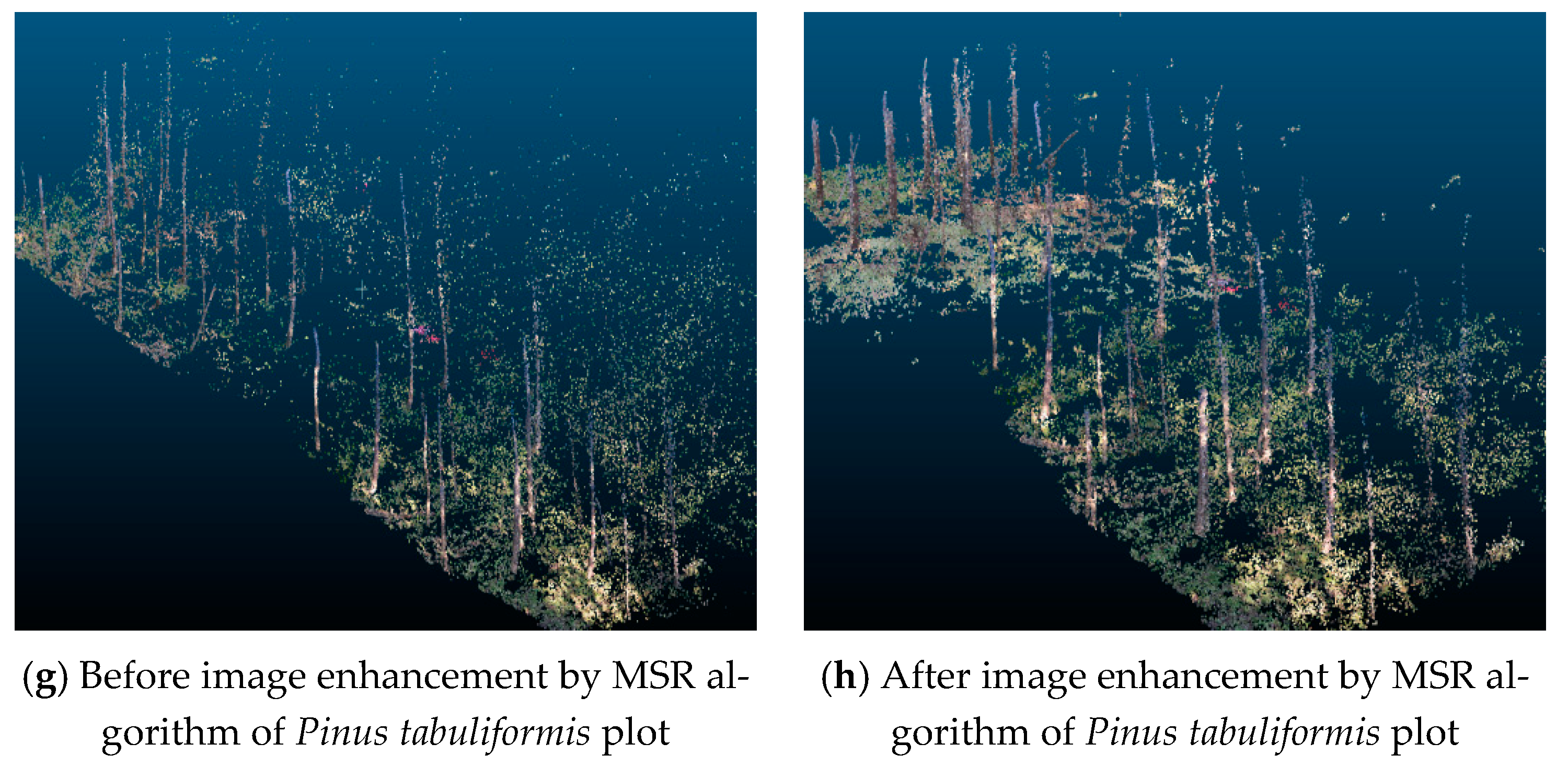 Remotesensing 13 01633 g007b