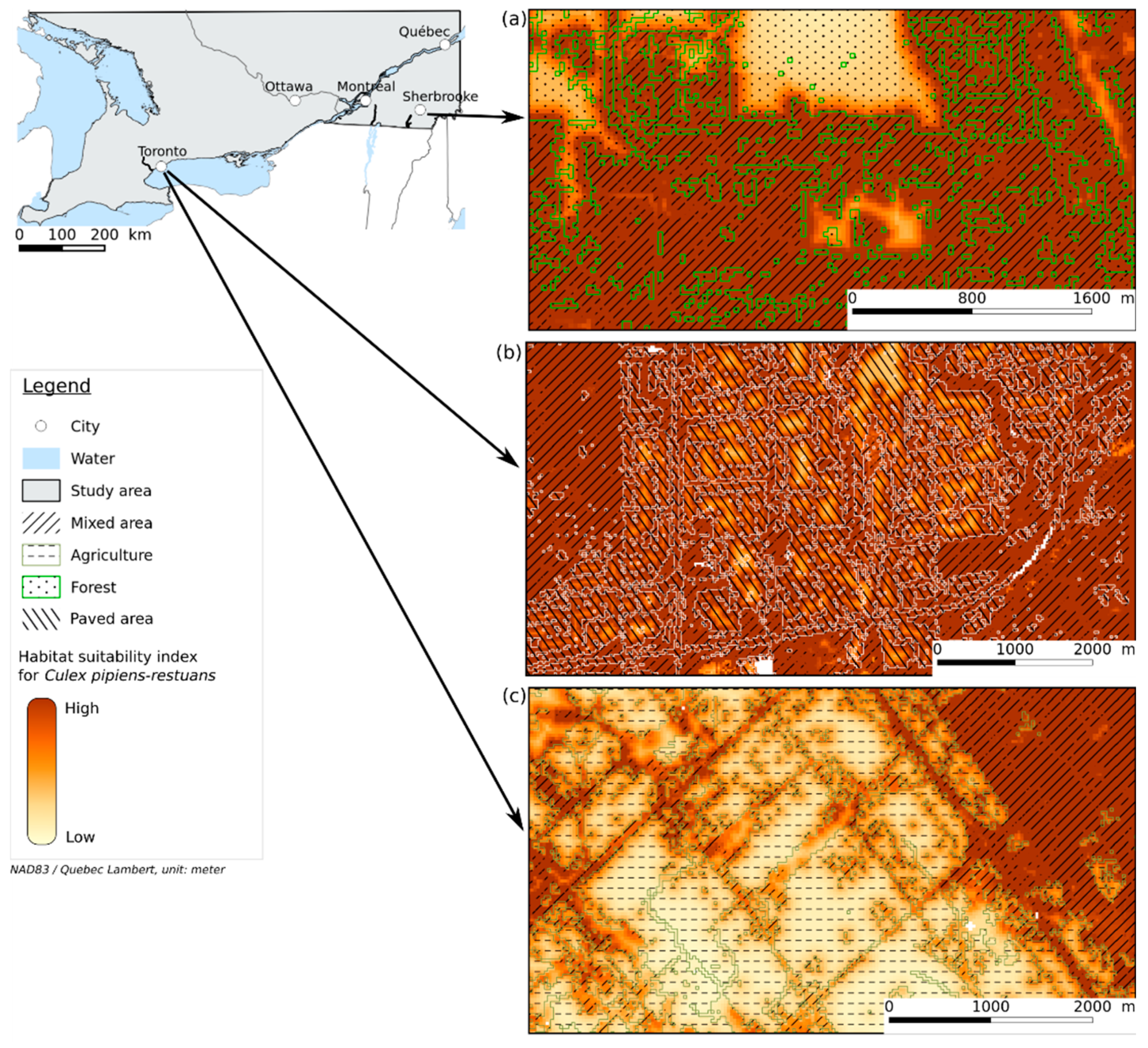 Remotesensing 13 01637 g004 Remotesensing 13 01637 g004