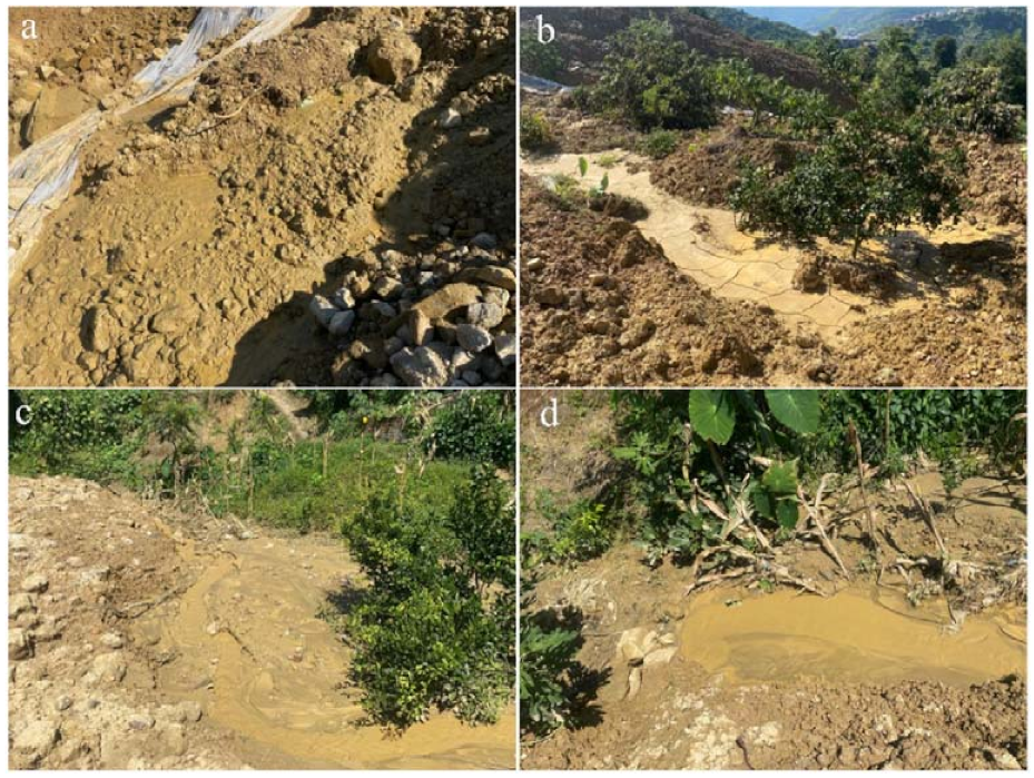 Remotesensing 13 01653 g008