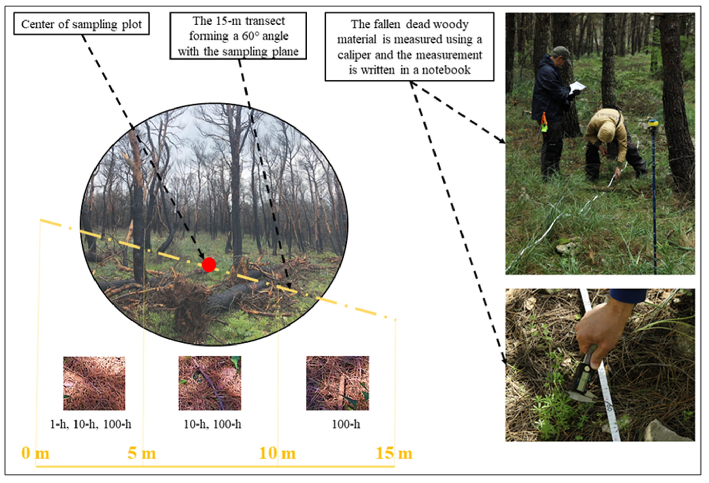 Remotesensing 13 01658 g002