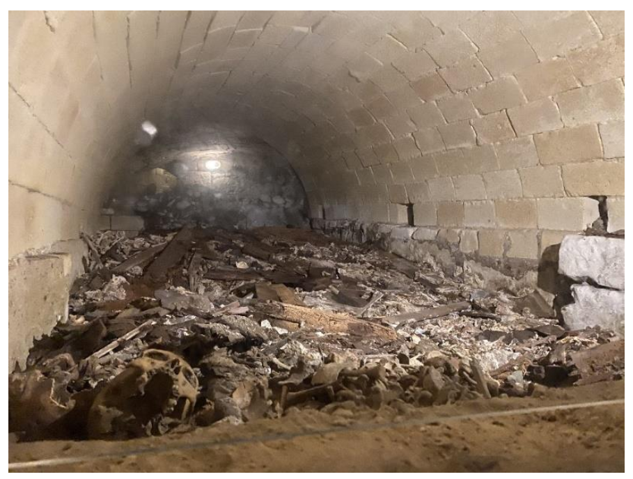 Remotesensing 13 01692 g011