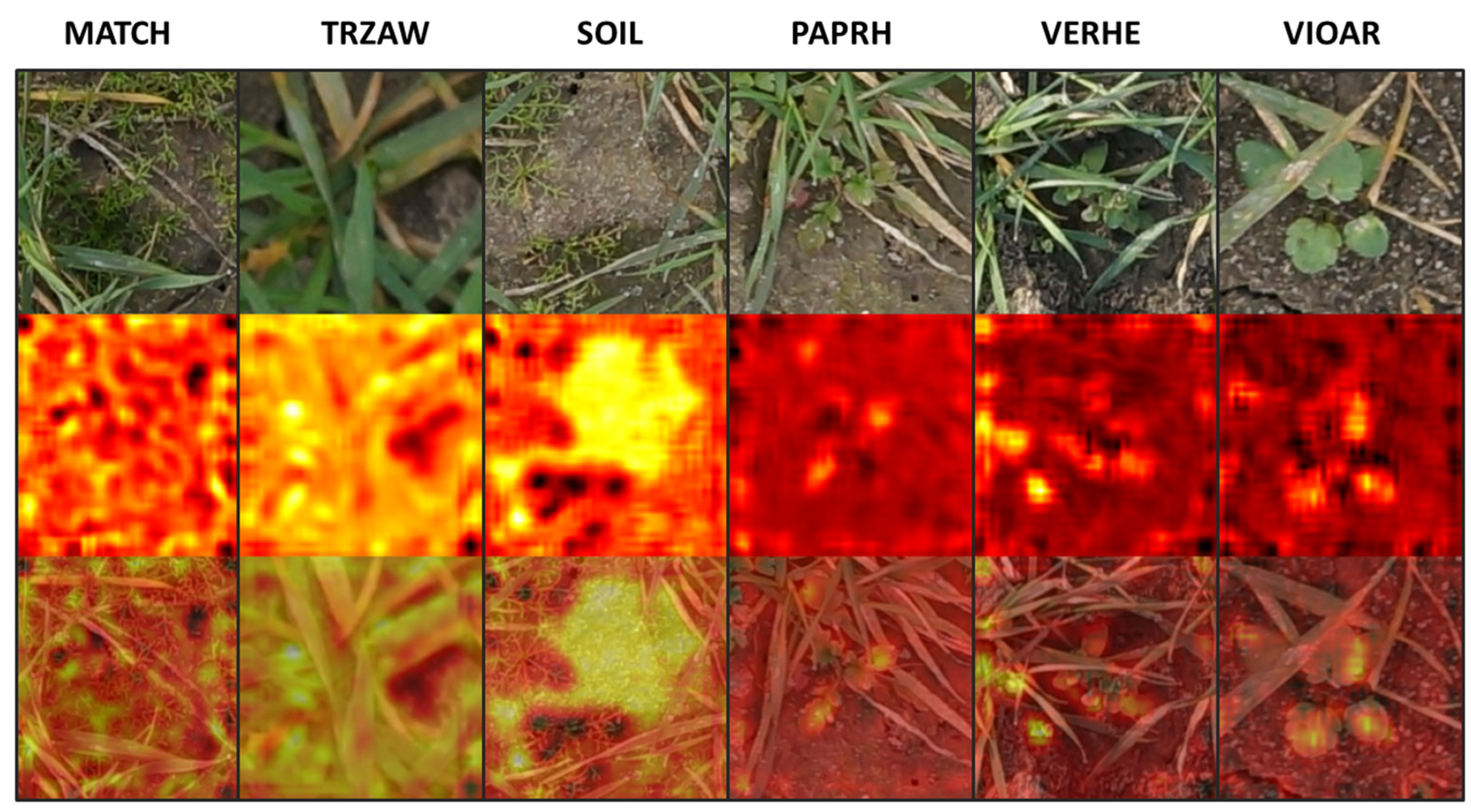Remotesensing 13 01704 g005