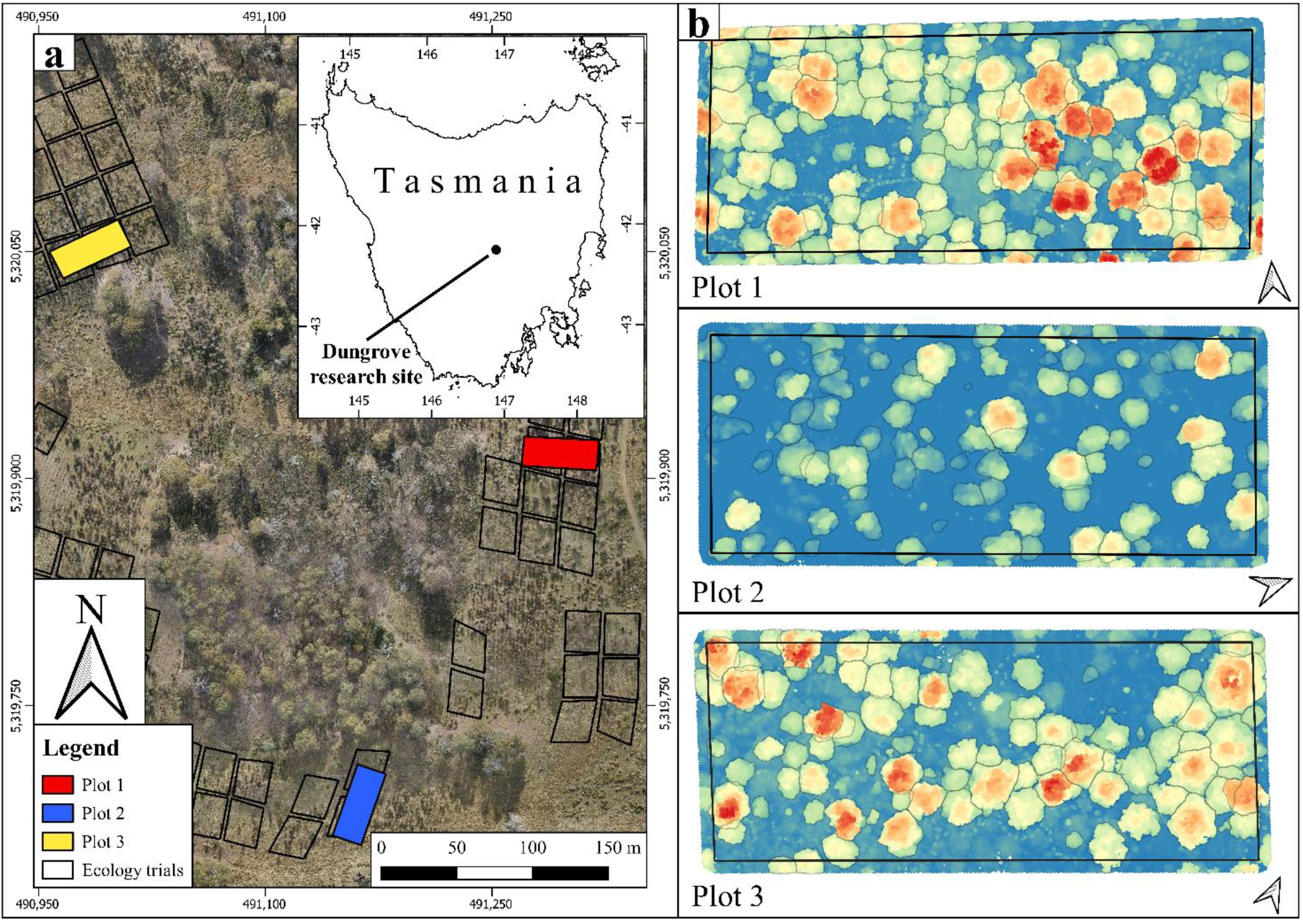 Remotesensing 13 01706 g001