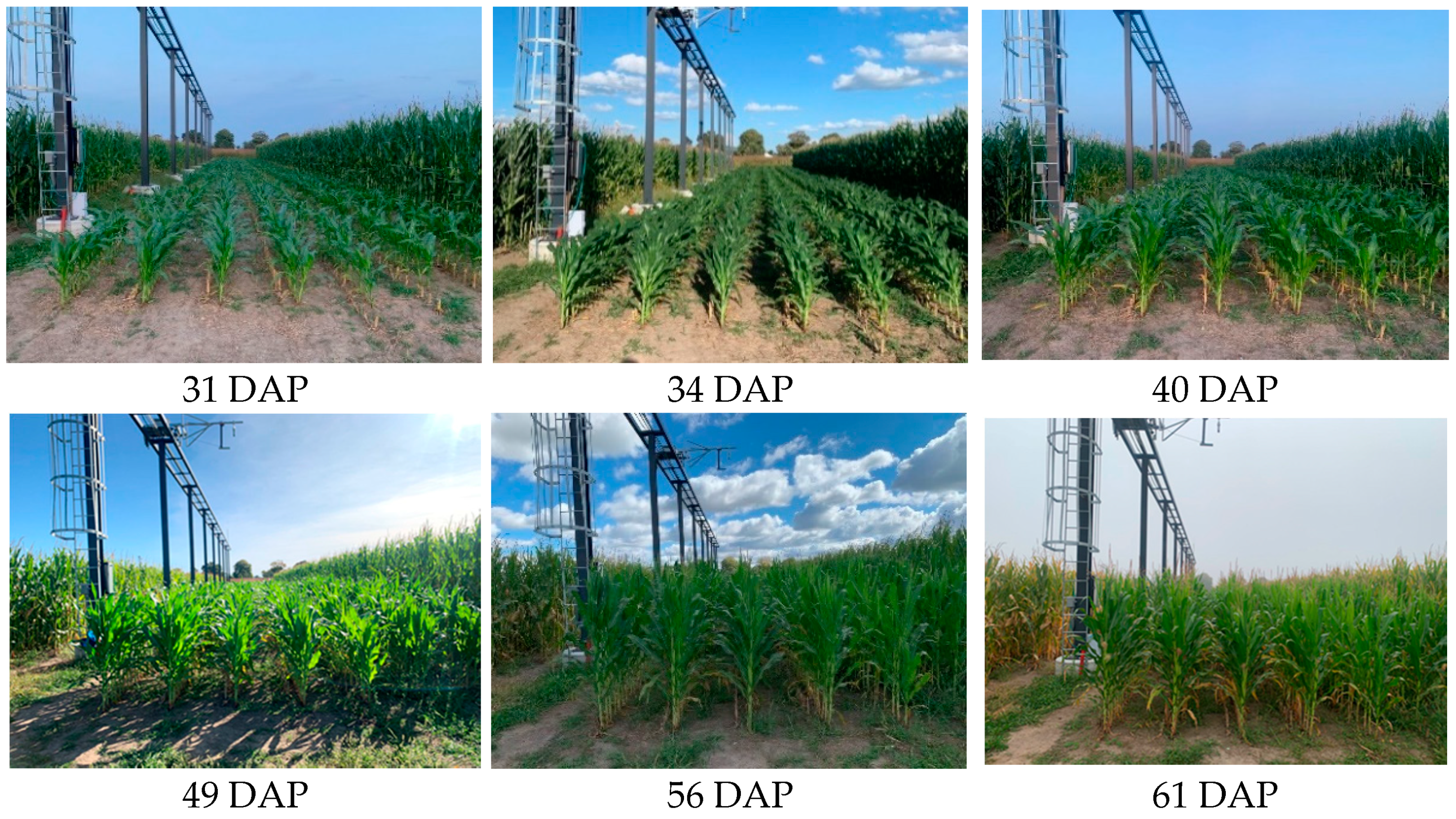 Remotesensing 13 01719 g003