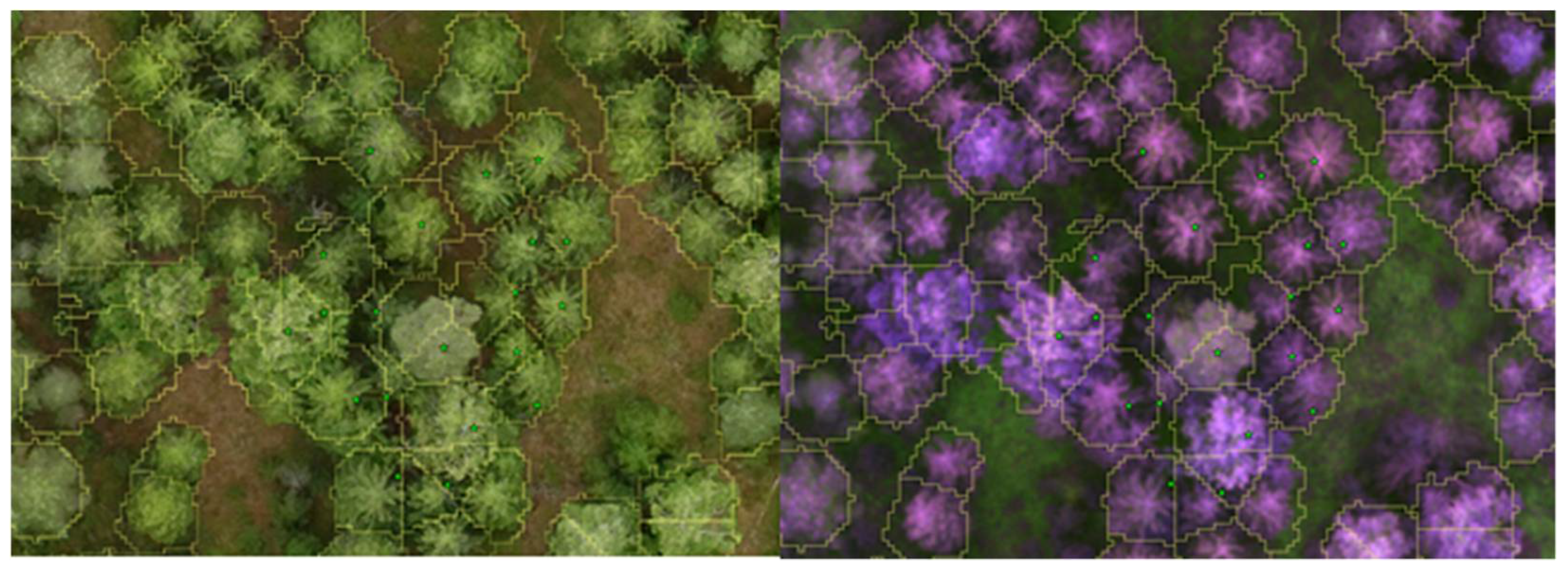 Remotesensing 13 01723 g003