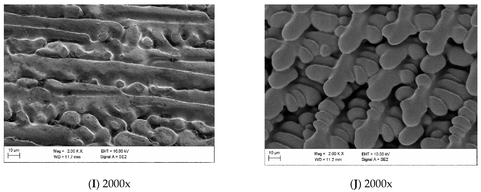 Remotesensing 13 01724 g013b