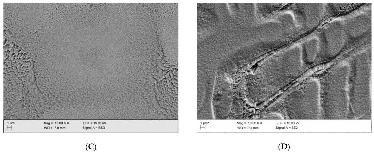 Remotesensing 13 01724 g016b