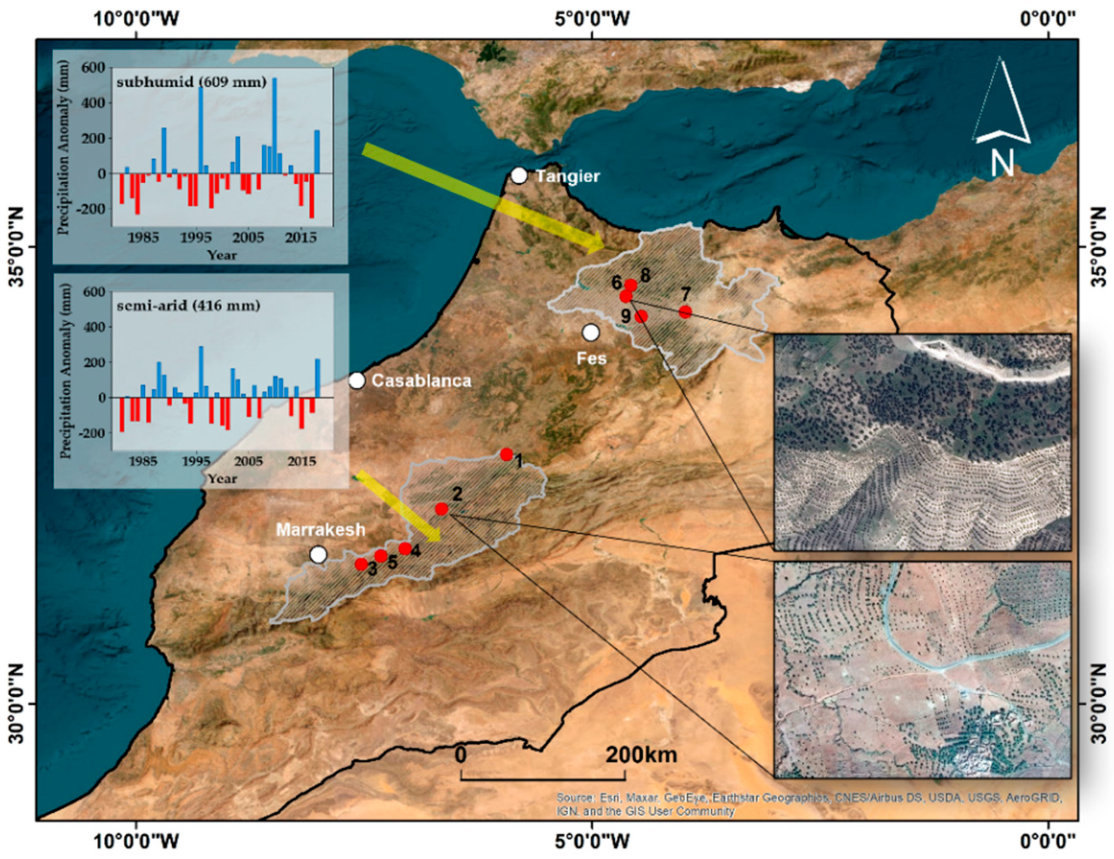 Remotesensing 13 01740 g001