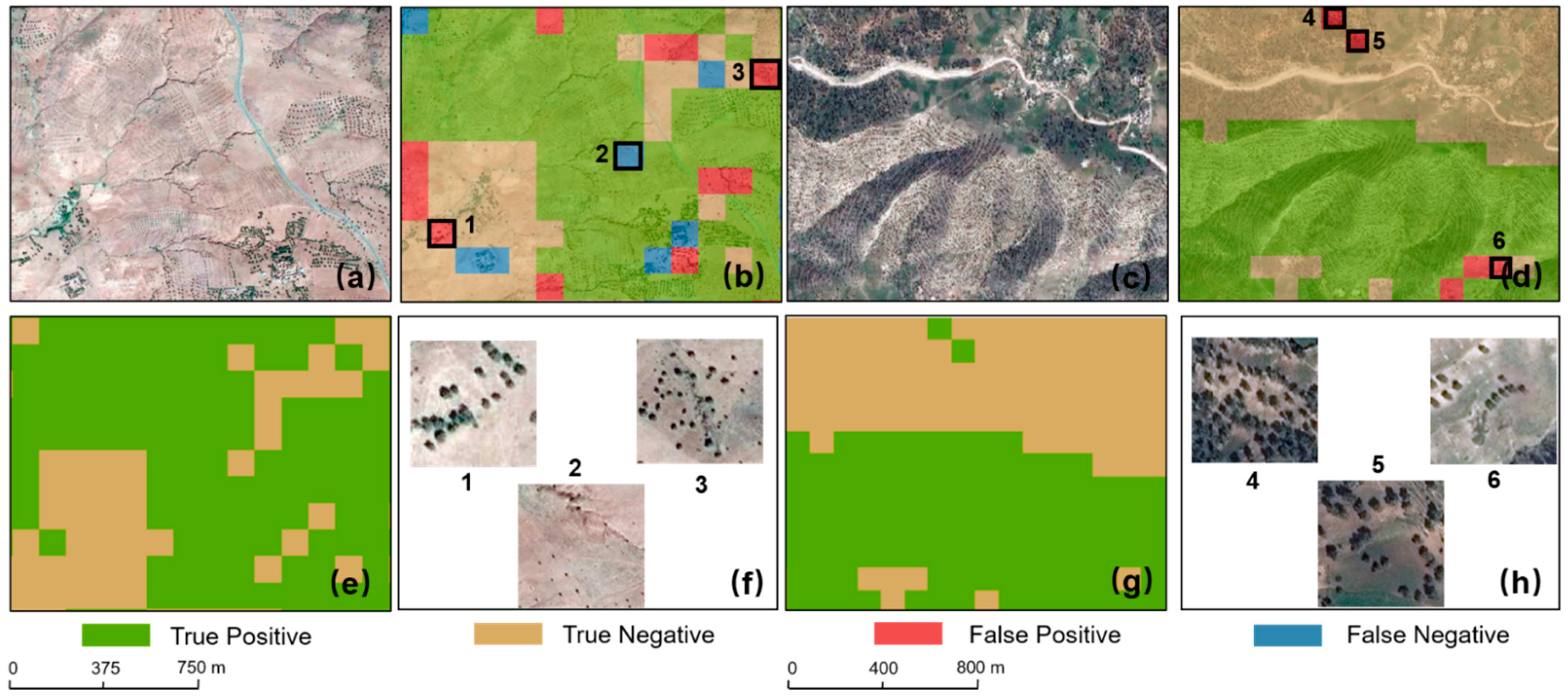 Remotesensing 13 01740 g008