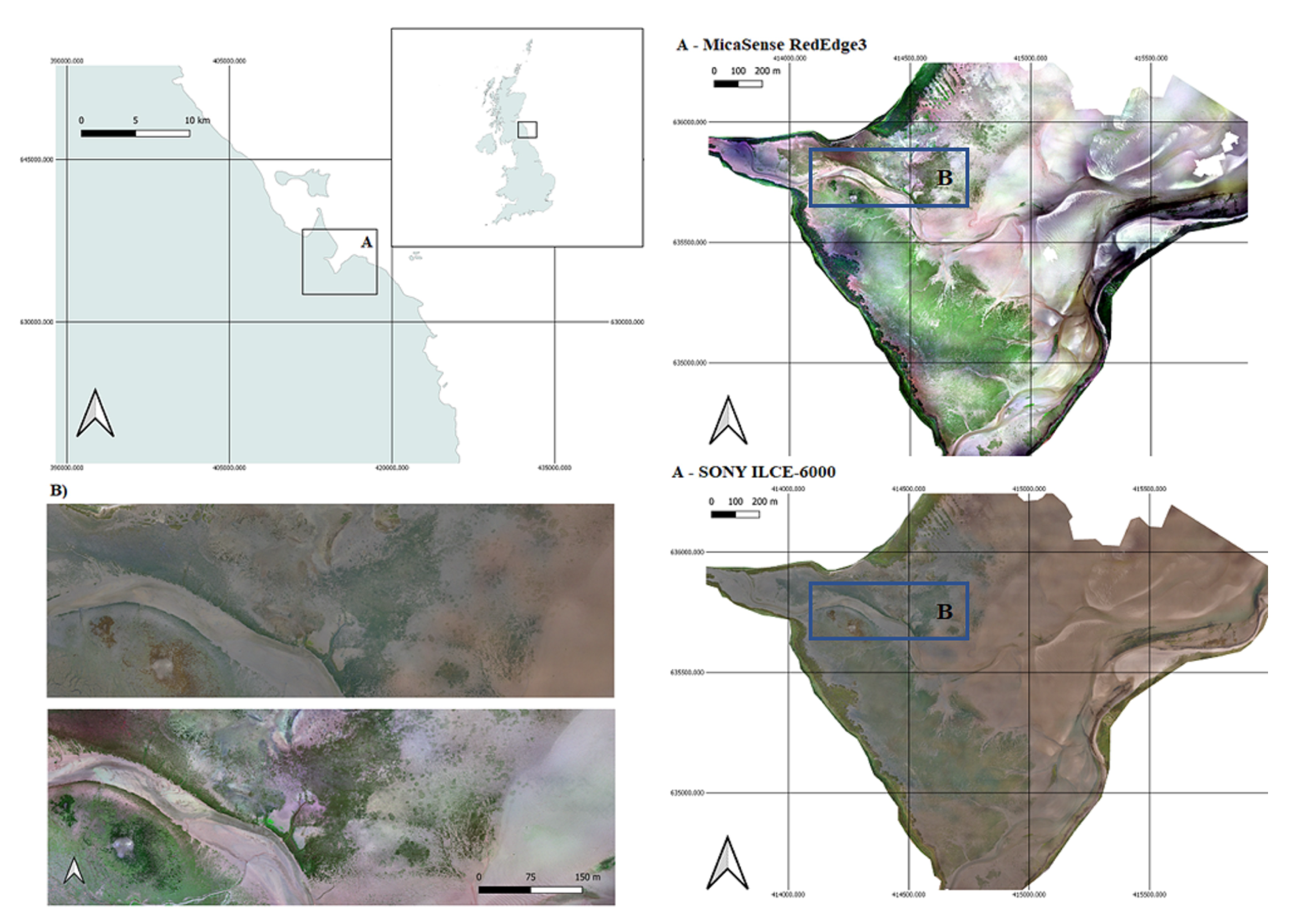 Remotesensing 13 01741 g001 Remotesensing 13 01741 g001