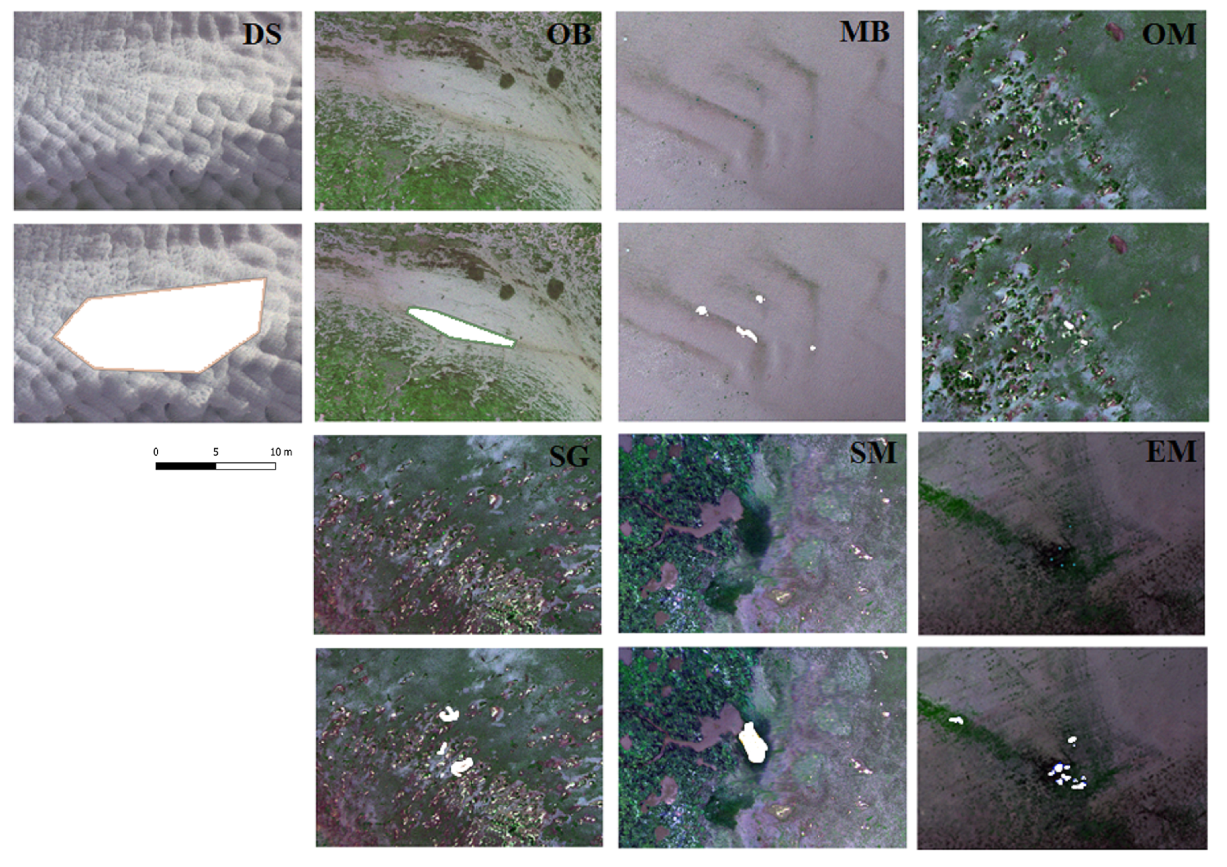 Remotesensing 13 01741 g003 Remotesensing 13 01741 g003