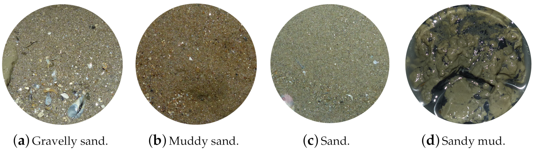 Remotesensing 13 01760 g003