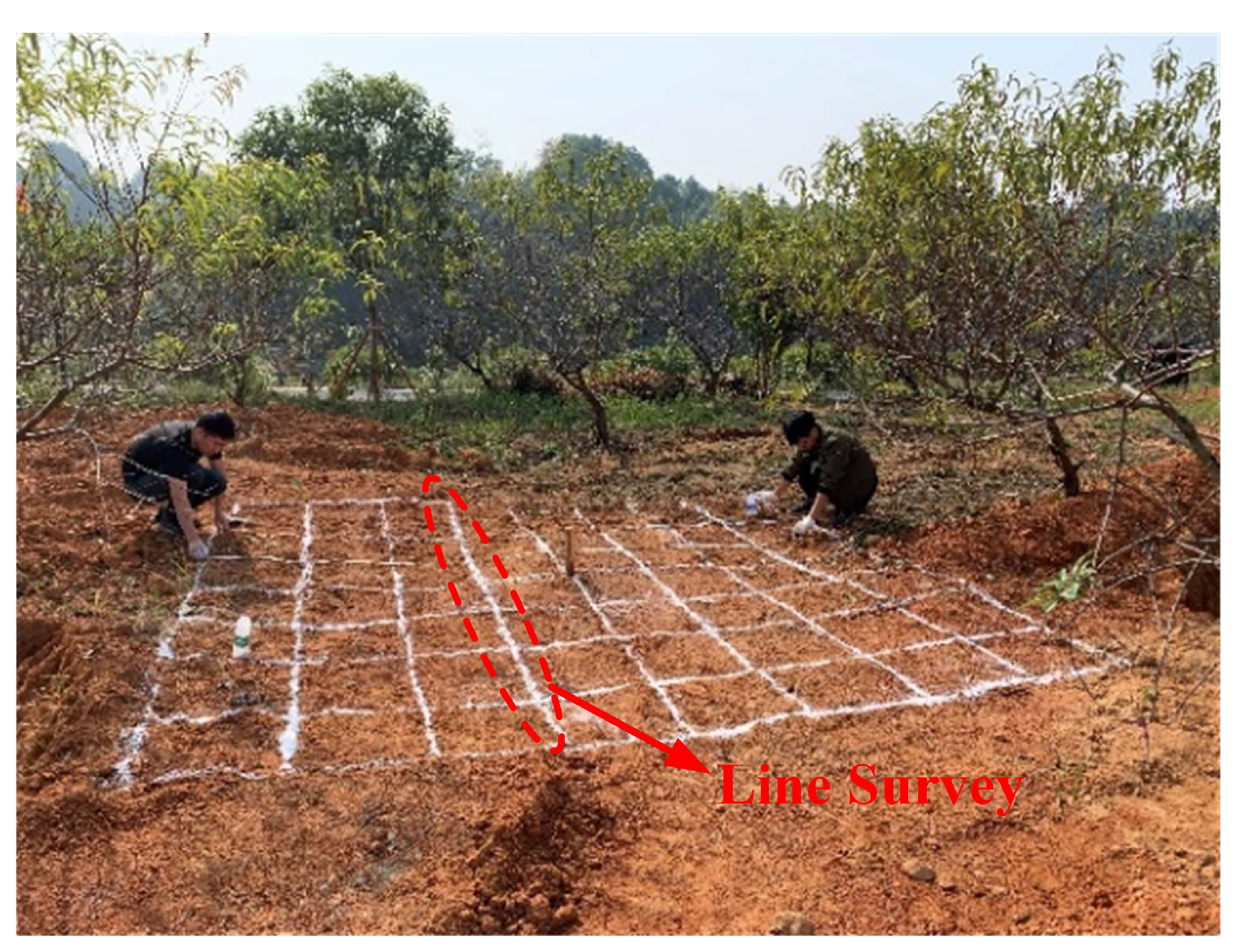 Remotesensing 13 01761 g017