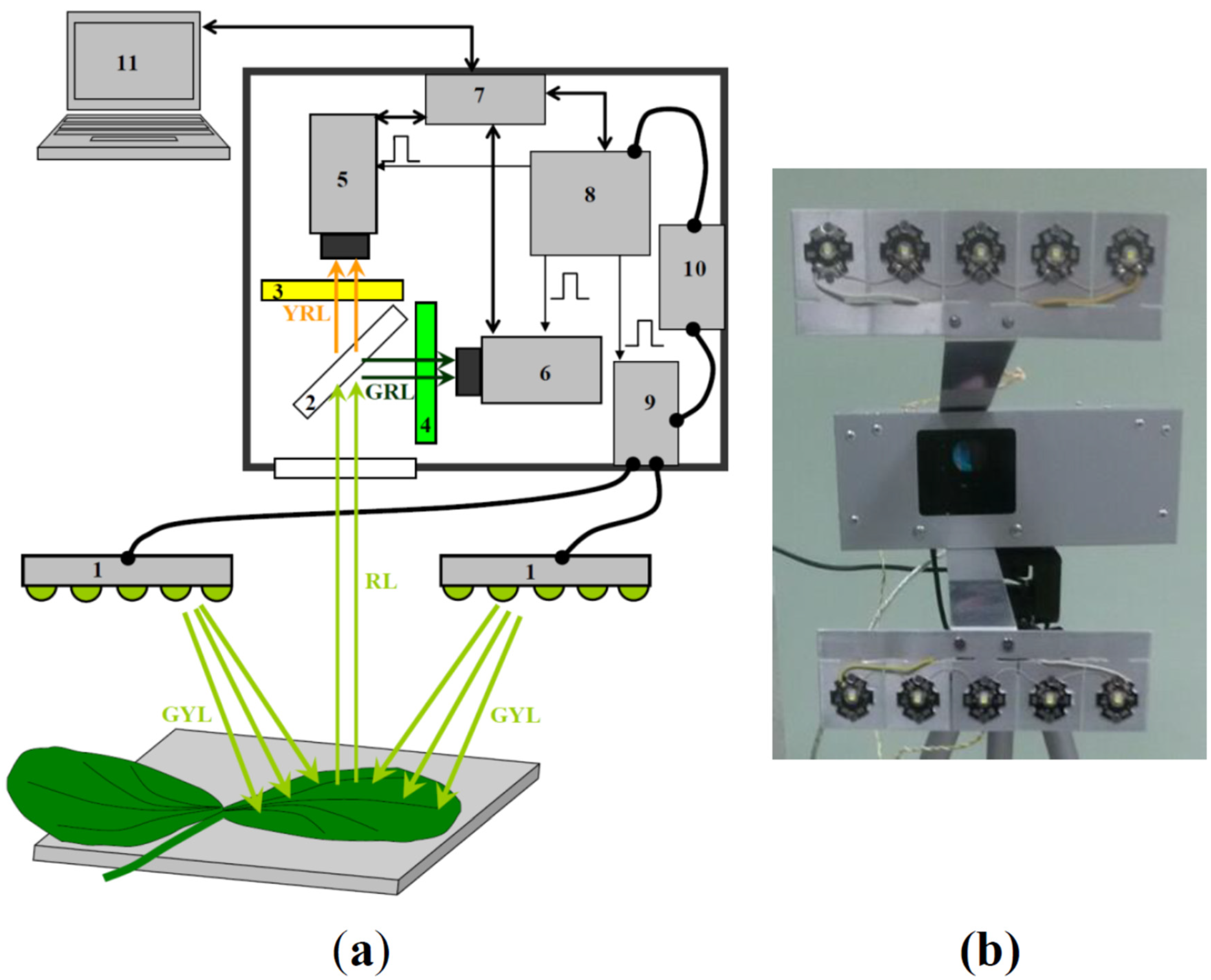 Remotesensing 13 01762 g001