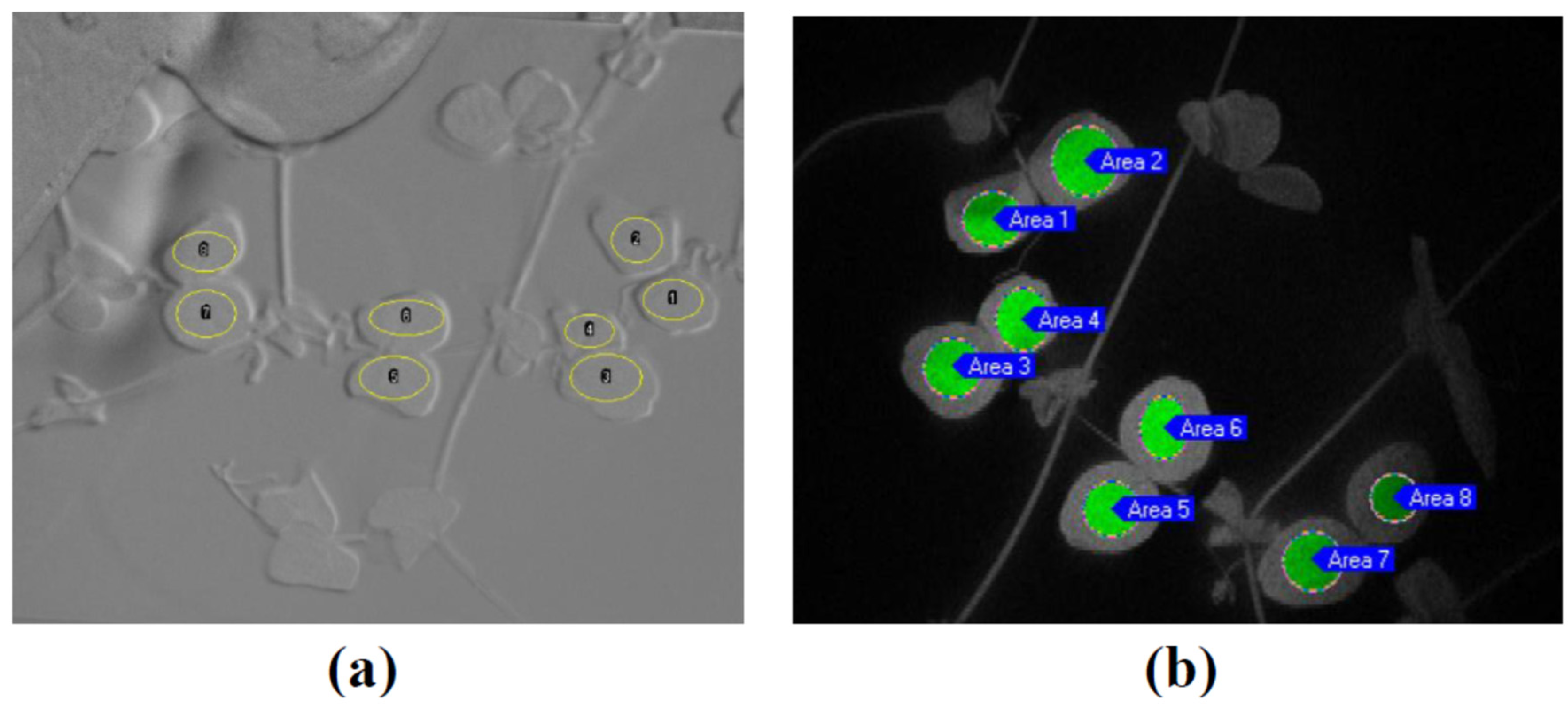 Remotesensing 13 01762 g003