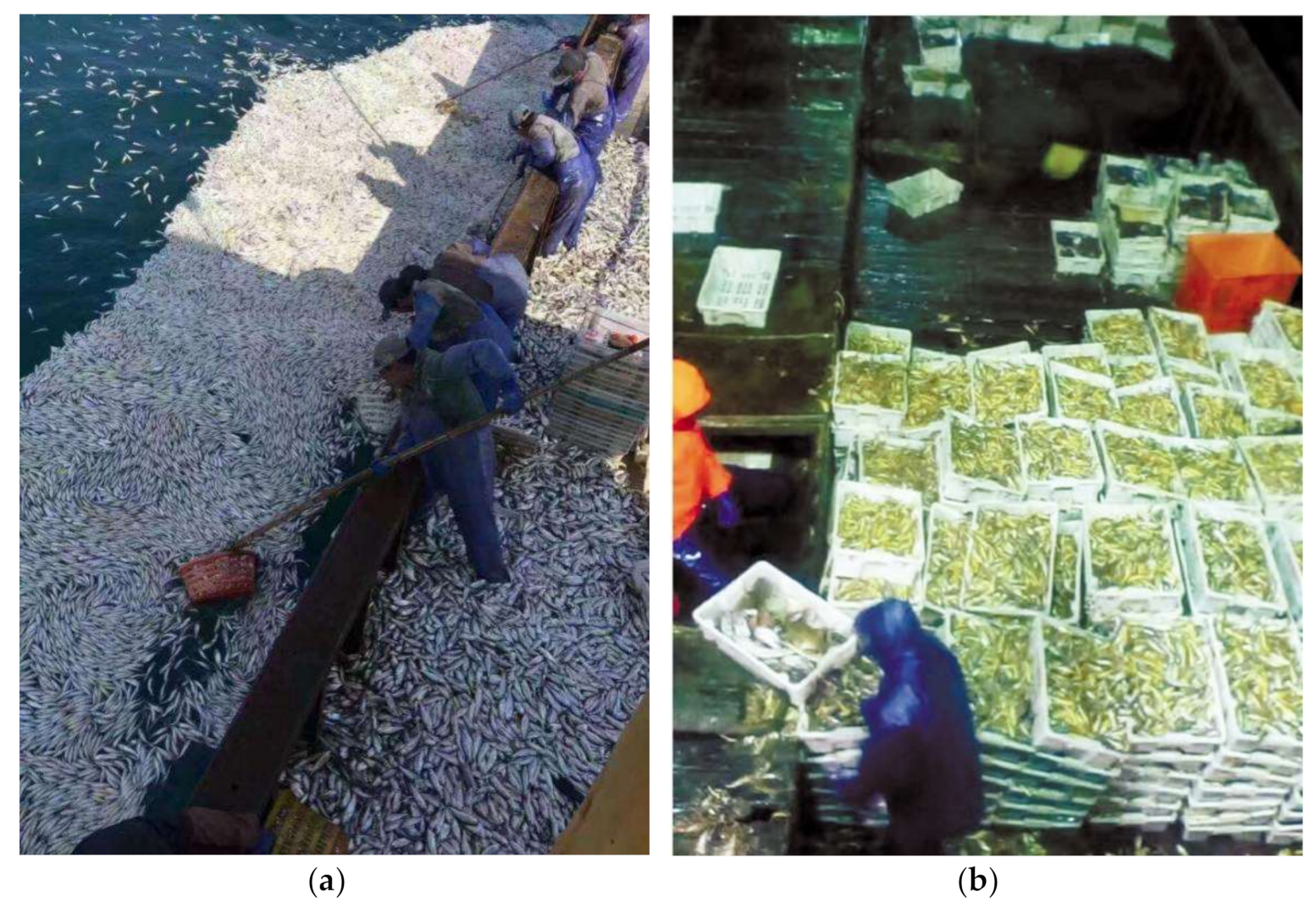 Remotesensing 13 01768 g002