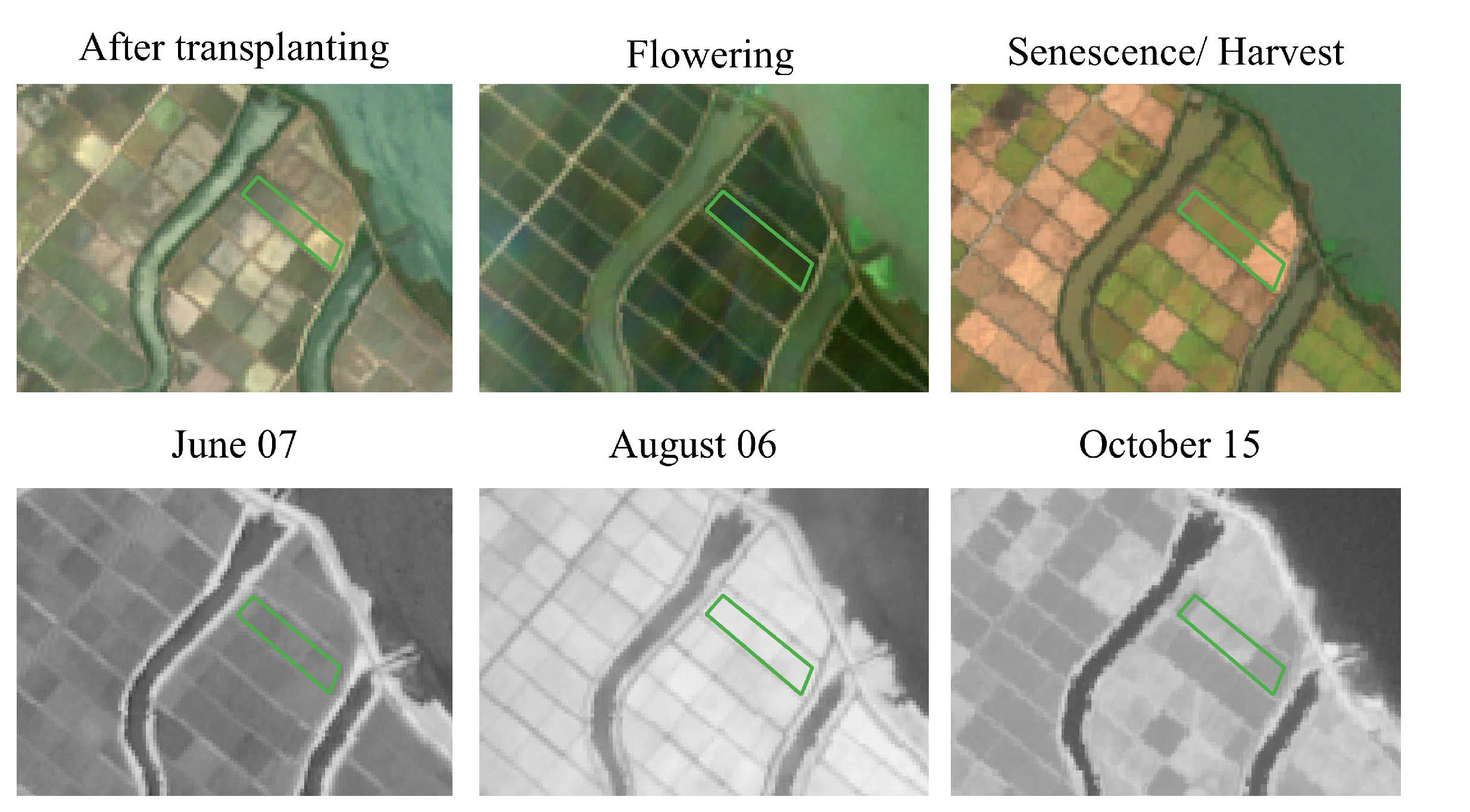 Remotesensing 13 01769 g006