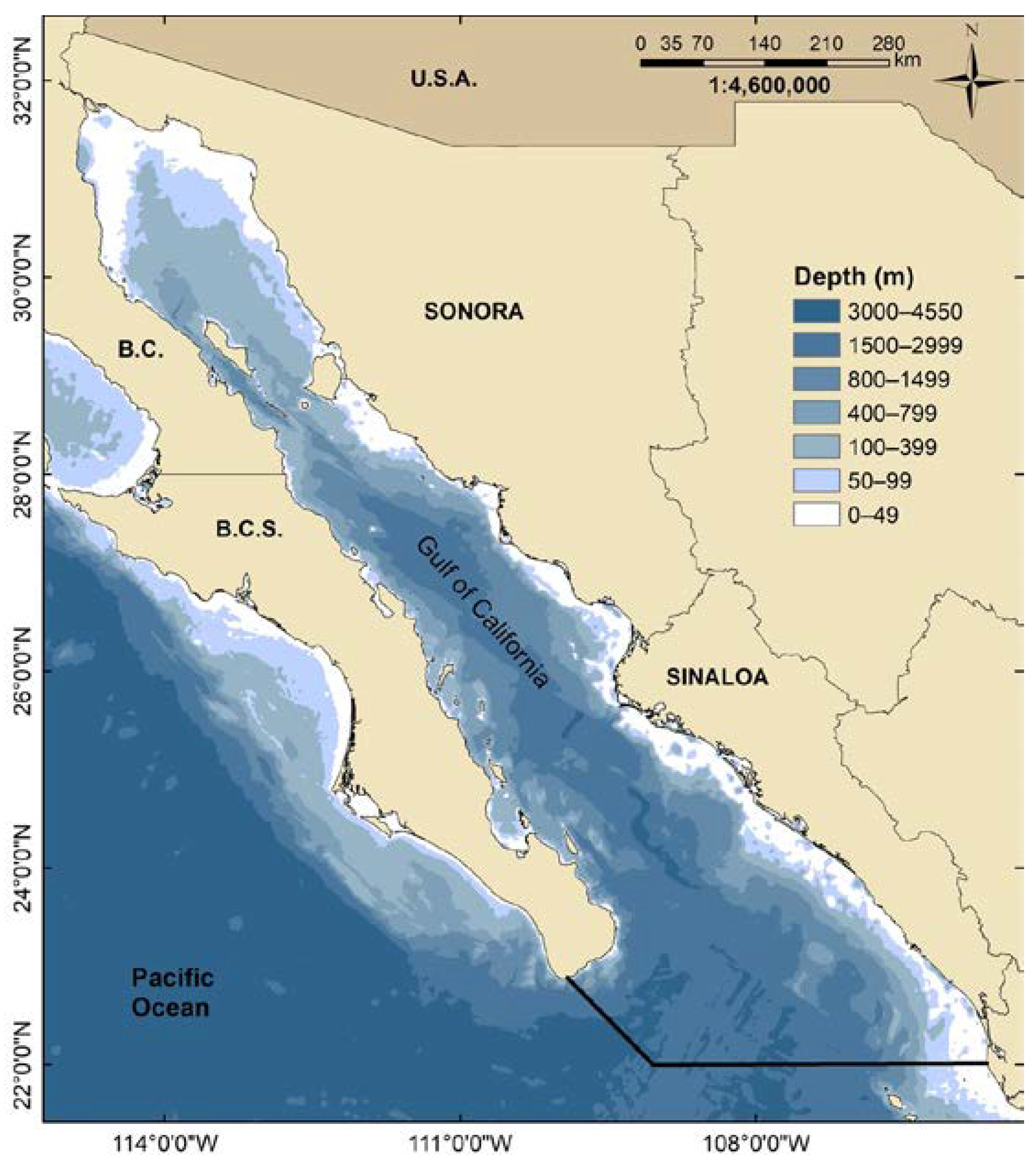 Remotesensing 13 01774 g001