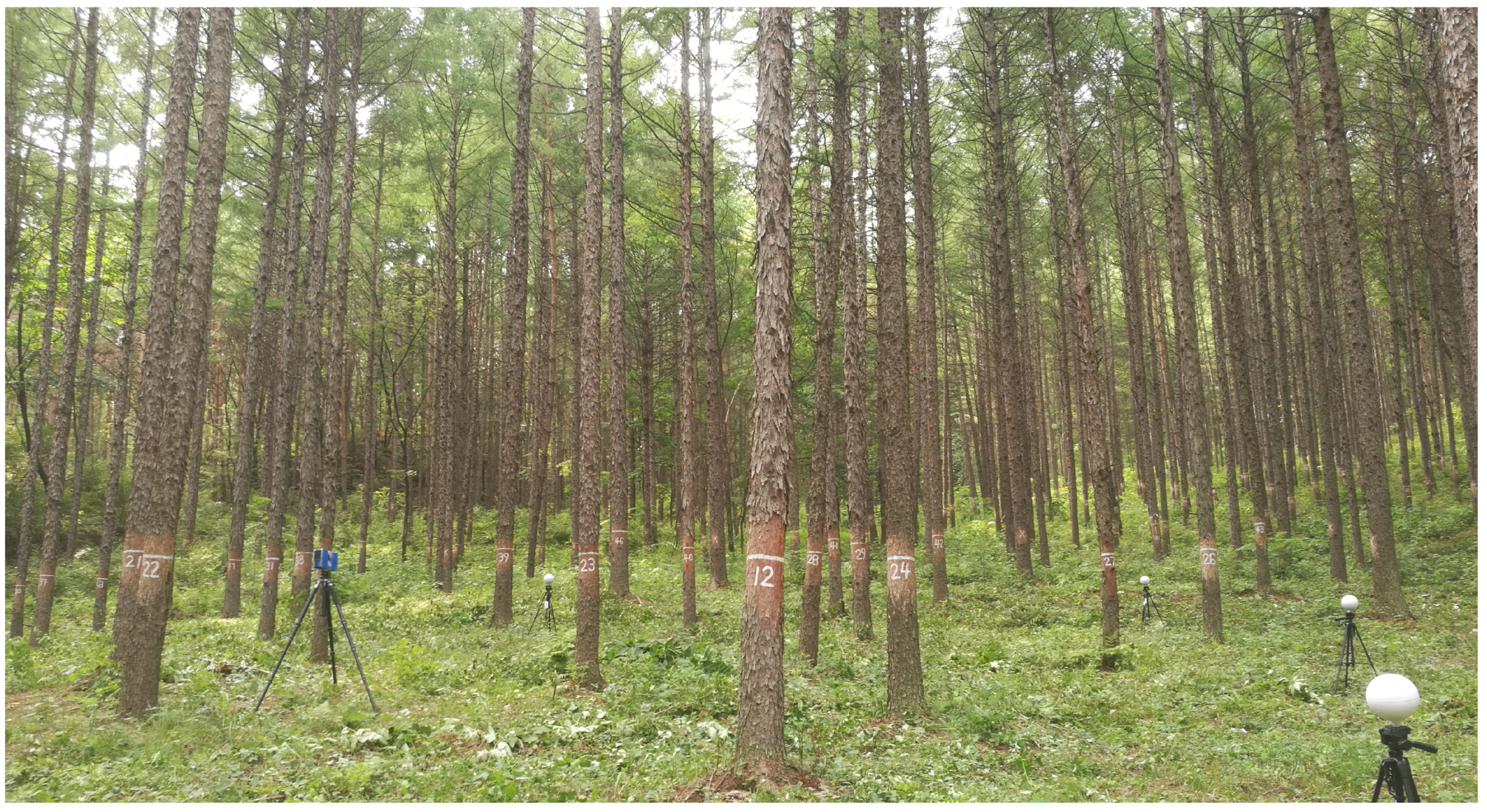 Remotesensing 13 01780 g001