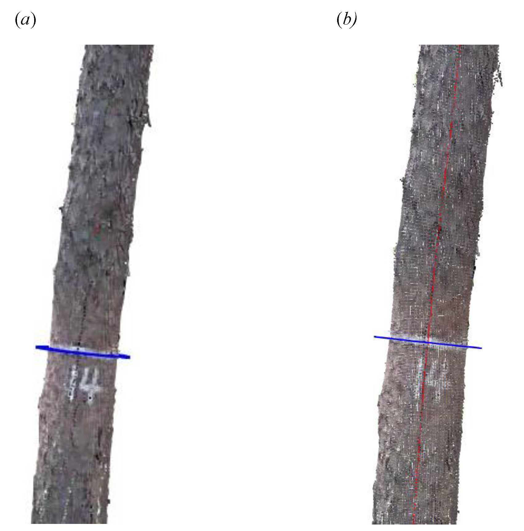 Remotesensing 13 01780 g002