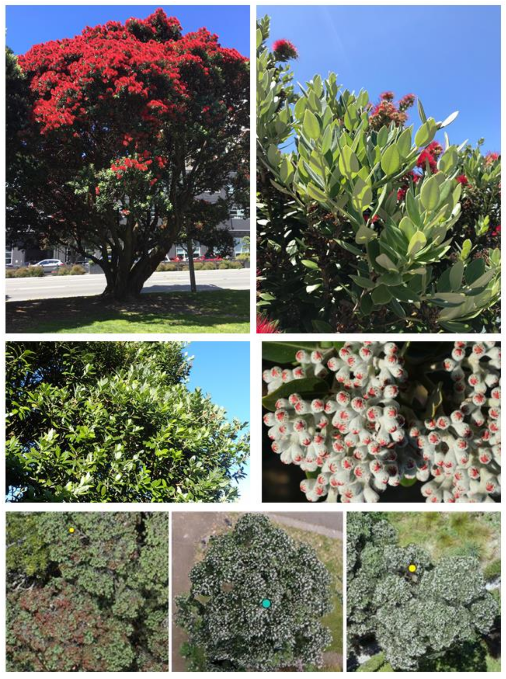 Remotesensing 13 01789 g002 Remotesensing 13 01789 g002