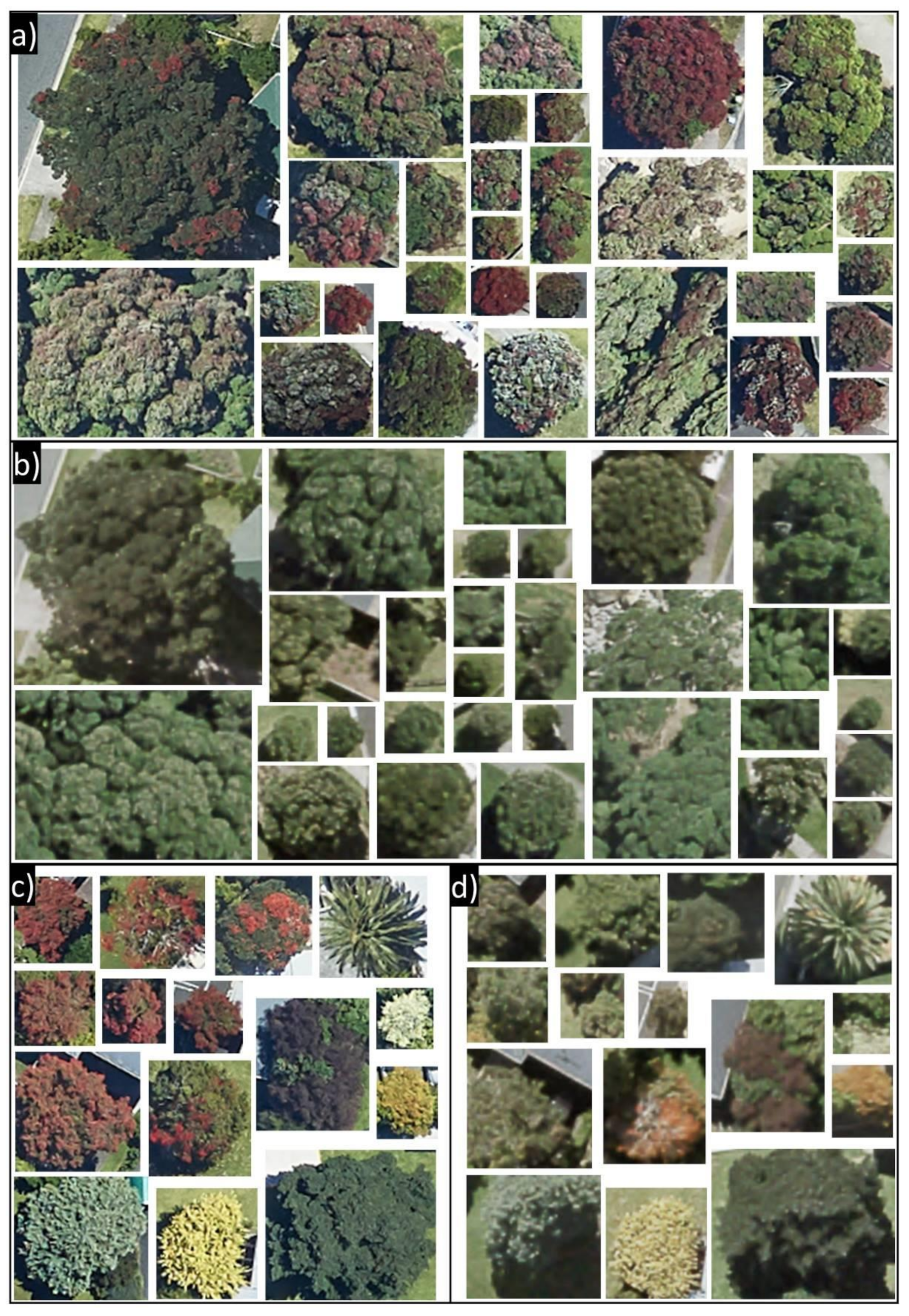 Remotesensing 13 01789 g003 Remotesensing 13 01789 g003