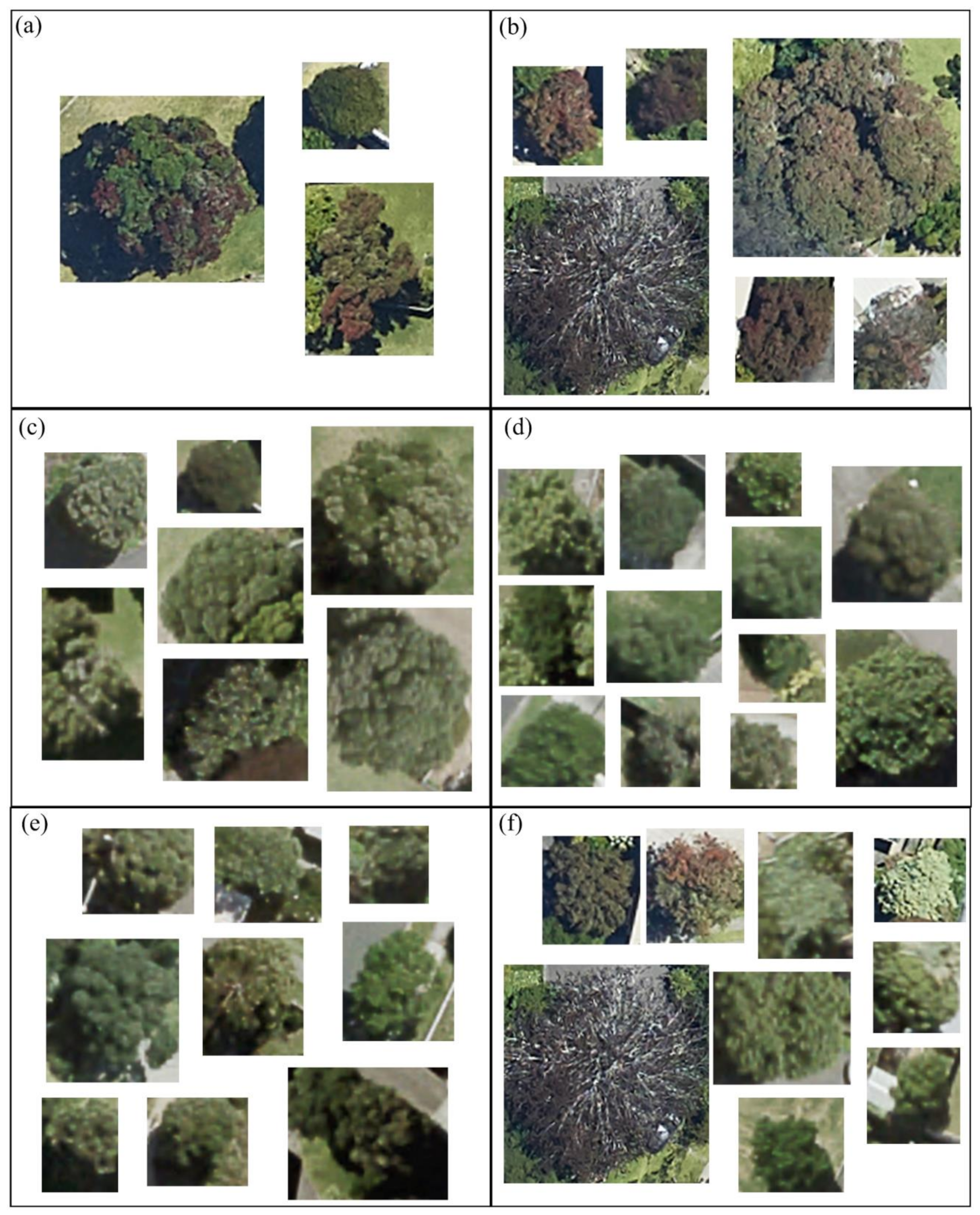 Remotesensing 13 01789 g007 Remotesensing 13 01789 g007