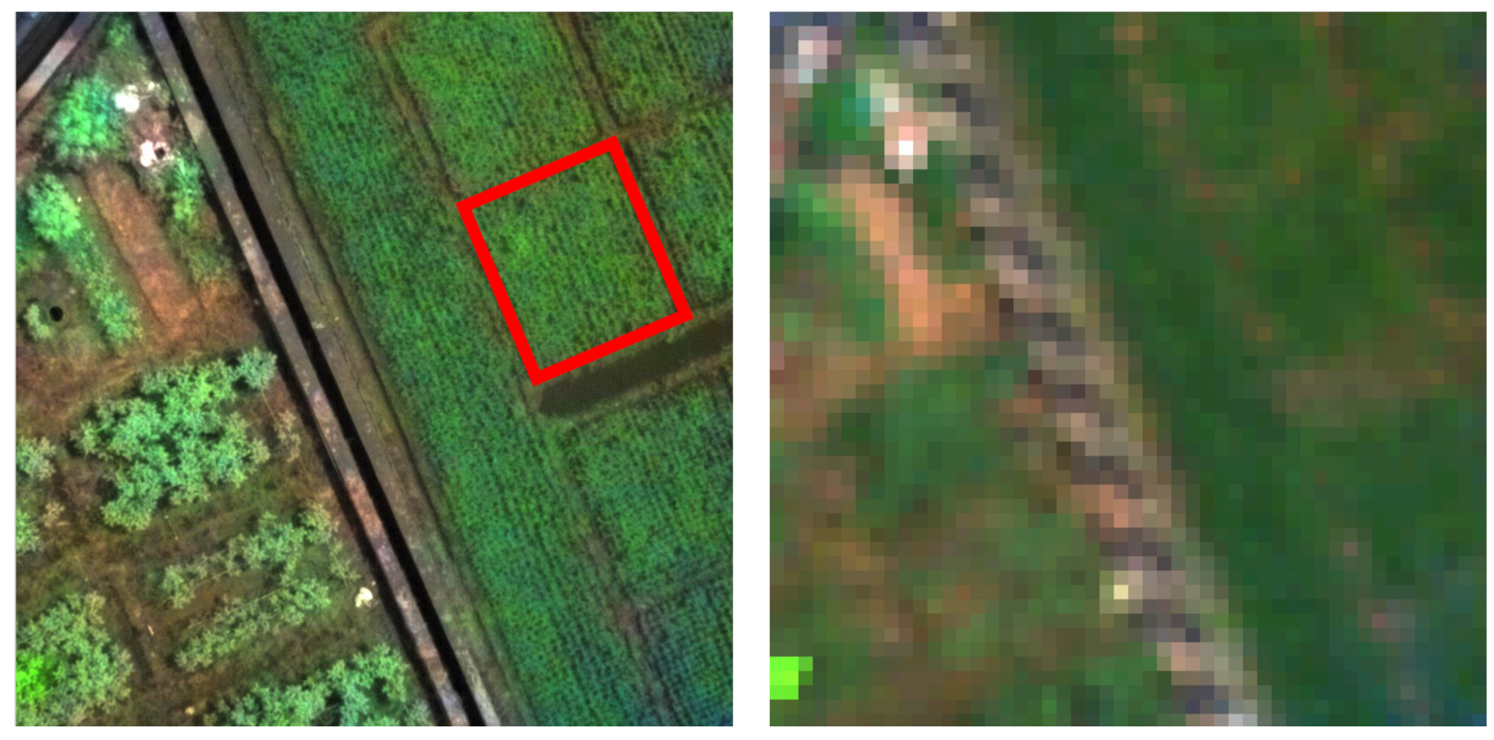 Remotesensing 13 01792 g002