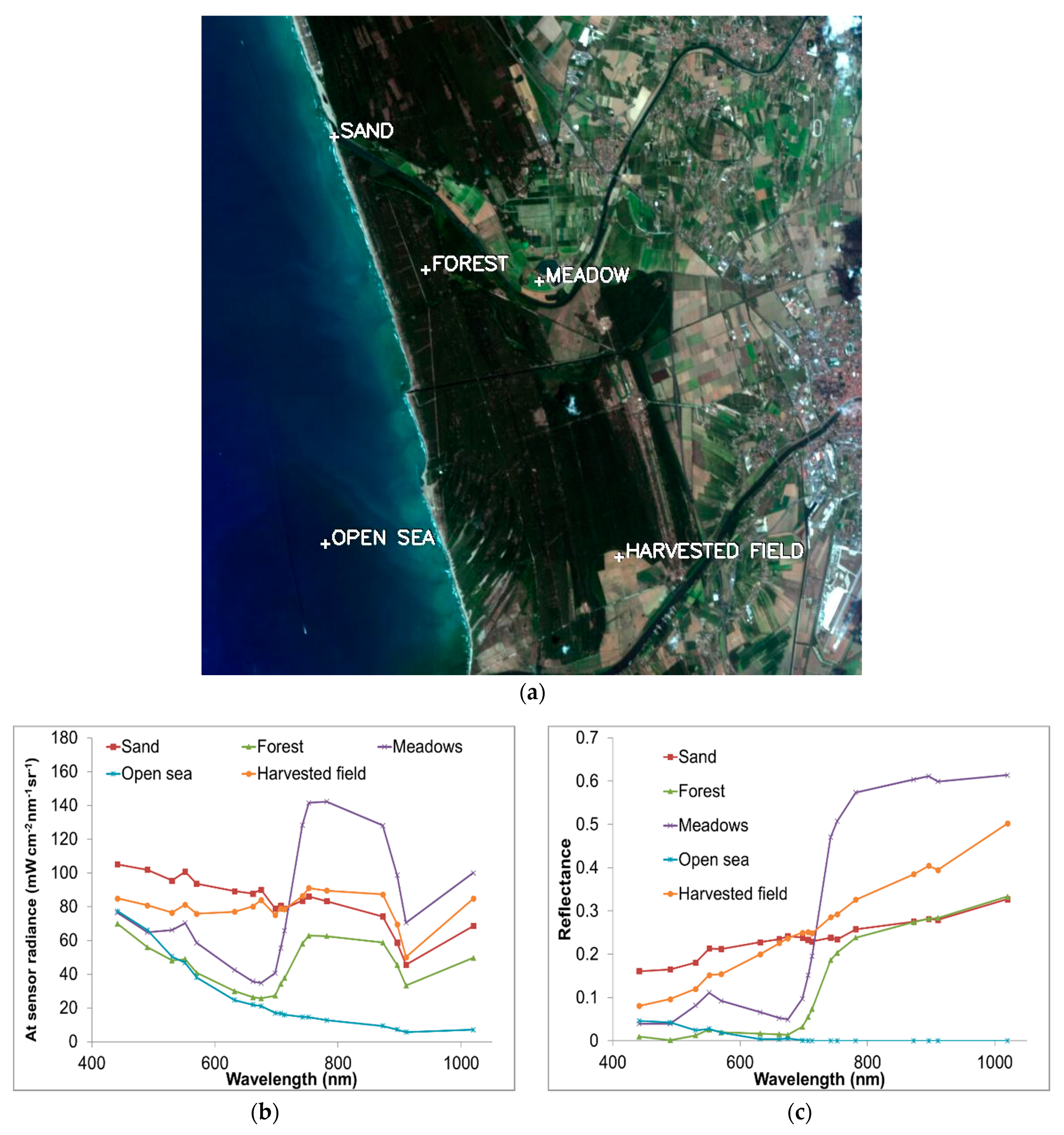 Remotesensing 13 01799 g010