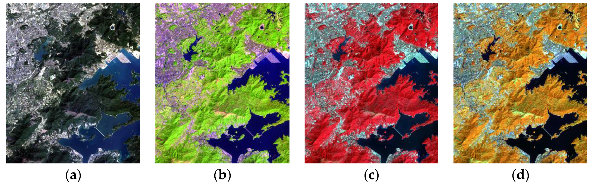 Remotesensing 13 01804 g005 Remotesensing 13 01804 g005