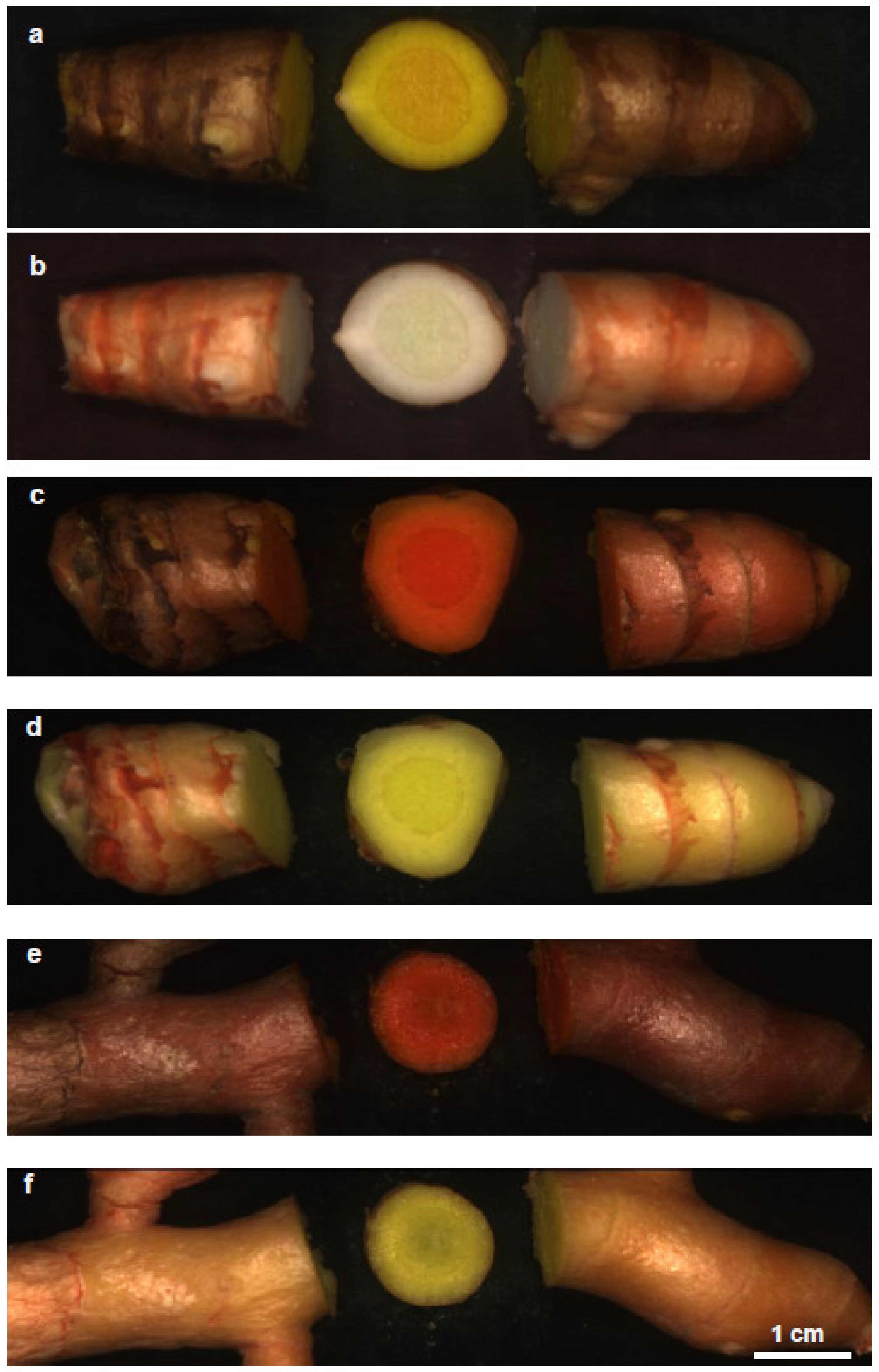 Remotesensing 13 01807 g004