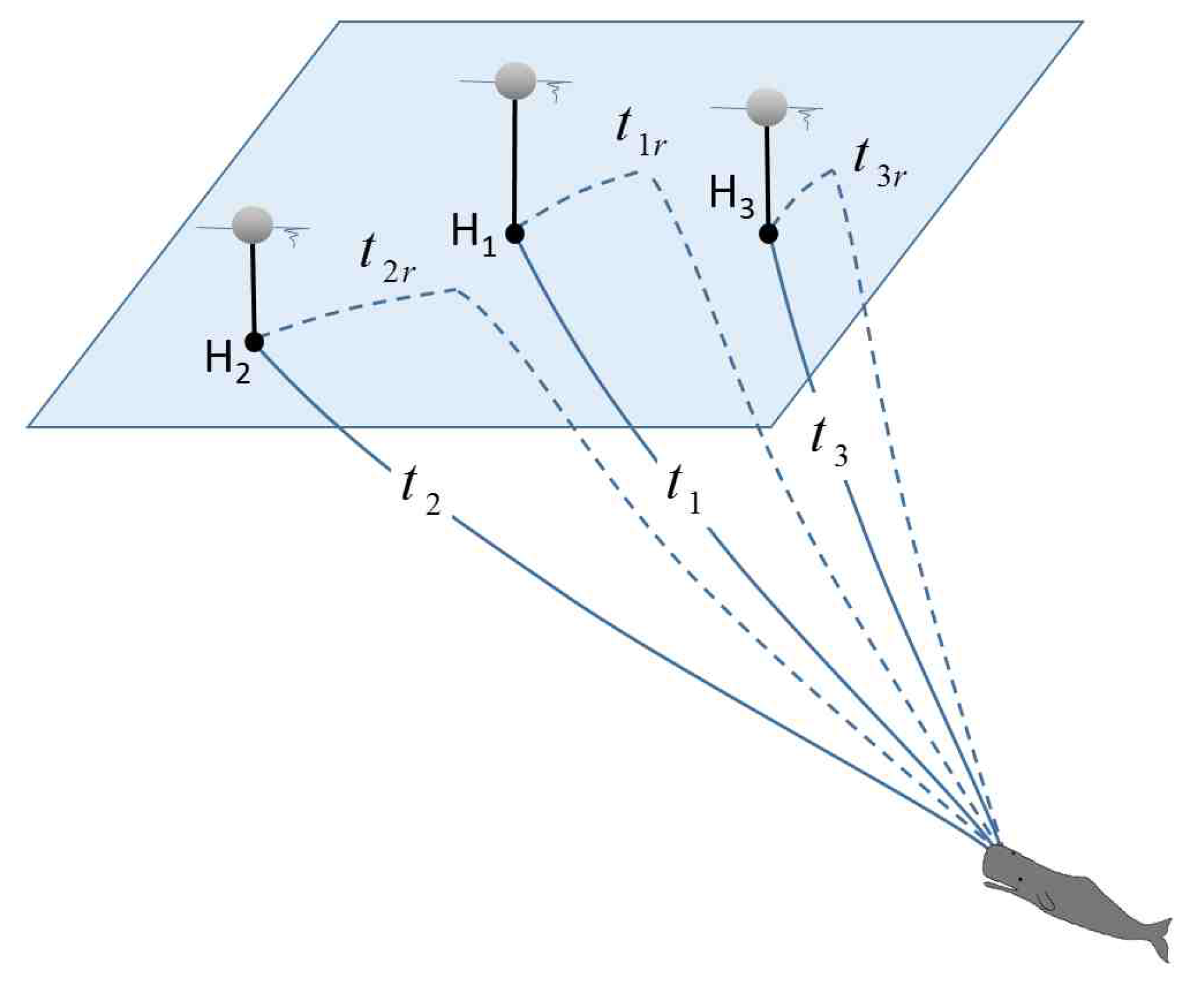 Remotesensing 13 01817 g001