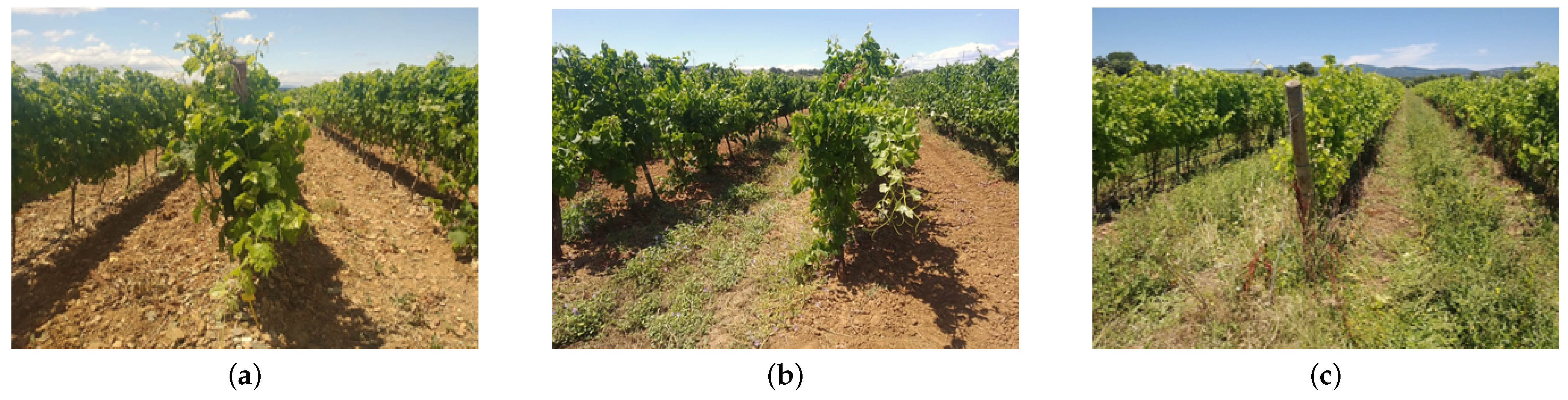 Remotesensing 13 01837 g003