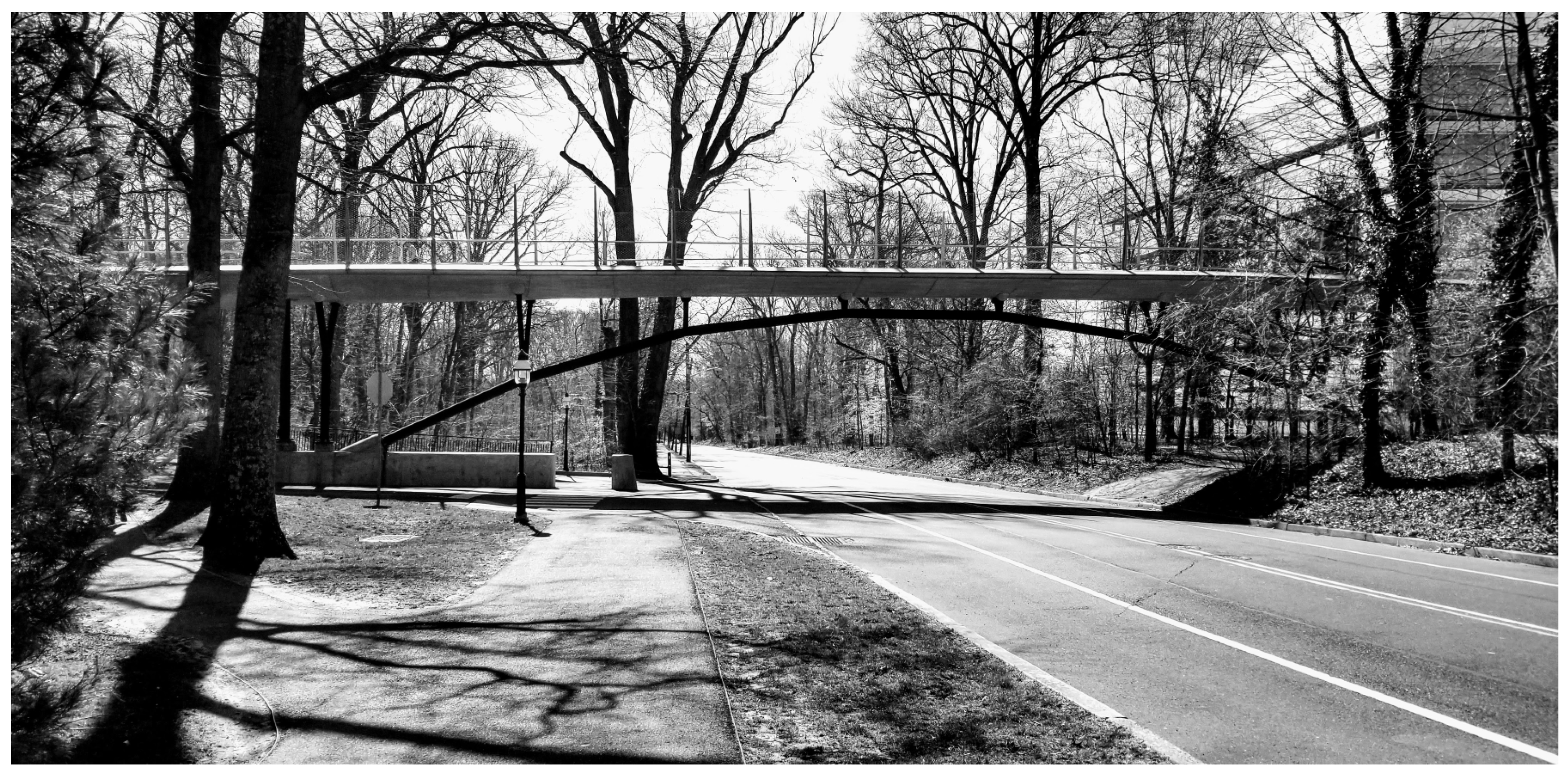 Remotesensing 13 01846 g002