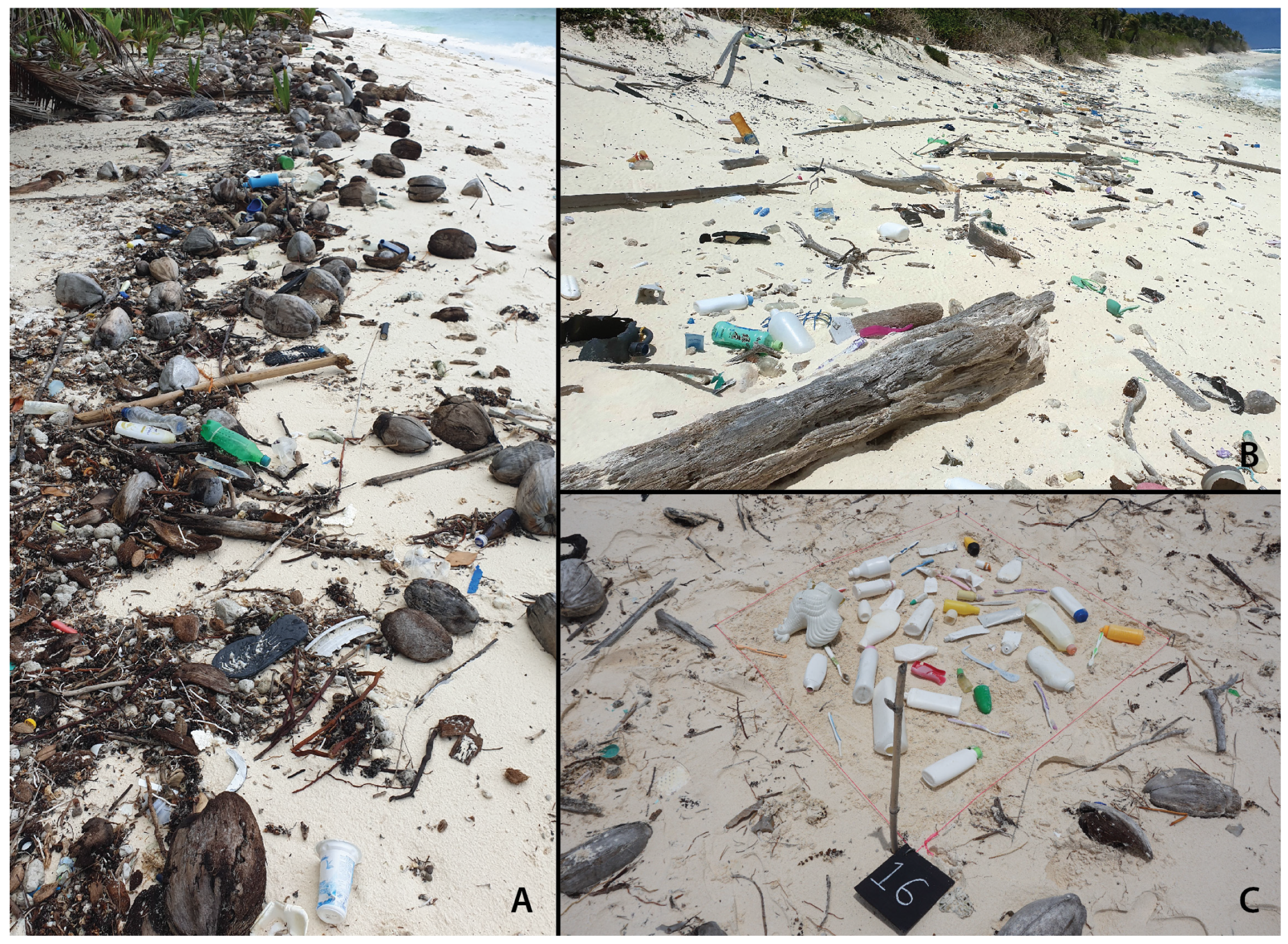 Remotesensing 13 01850 g002