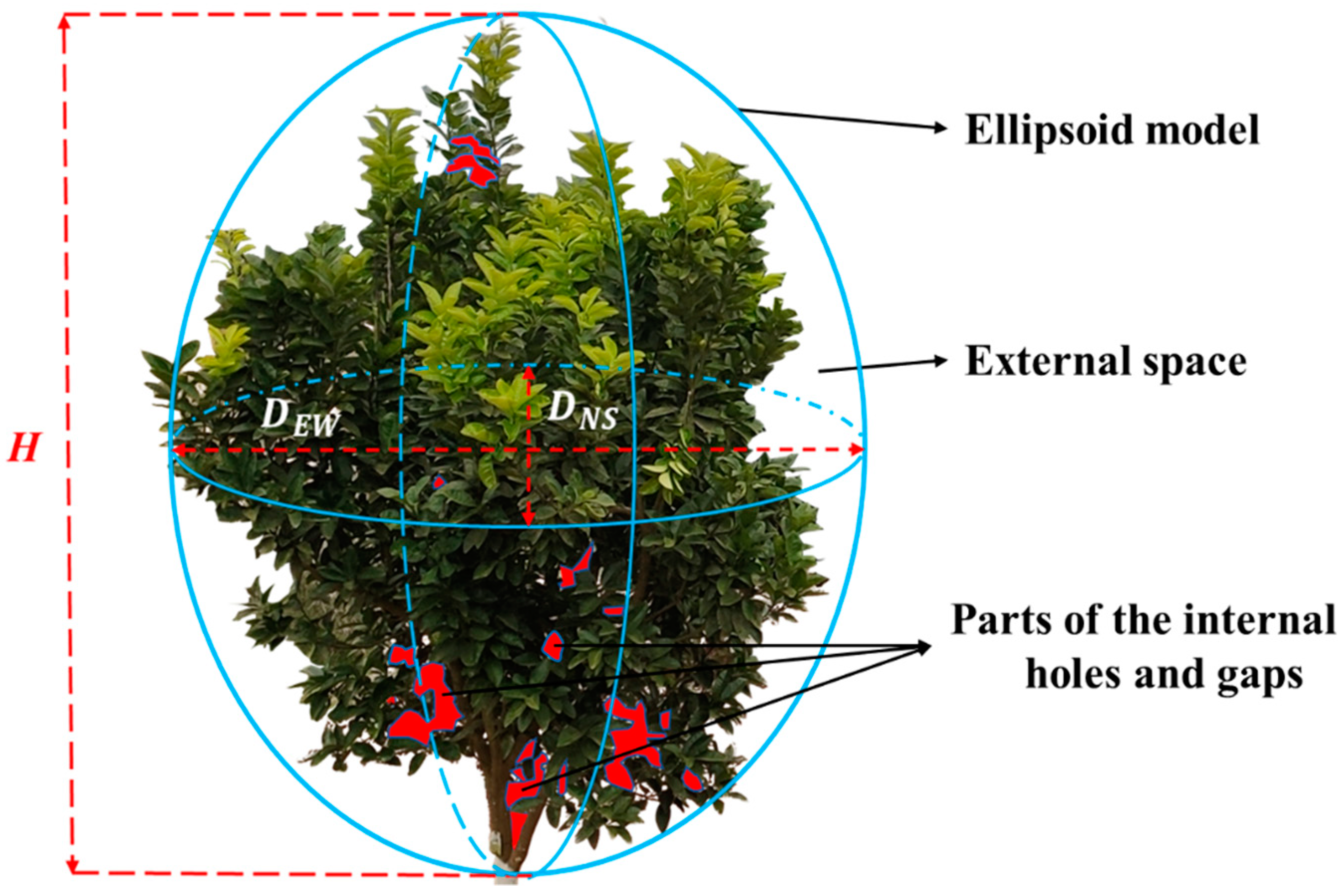 Remotesensing 13 01859 g006