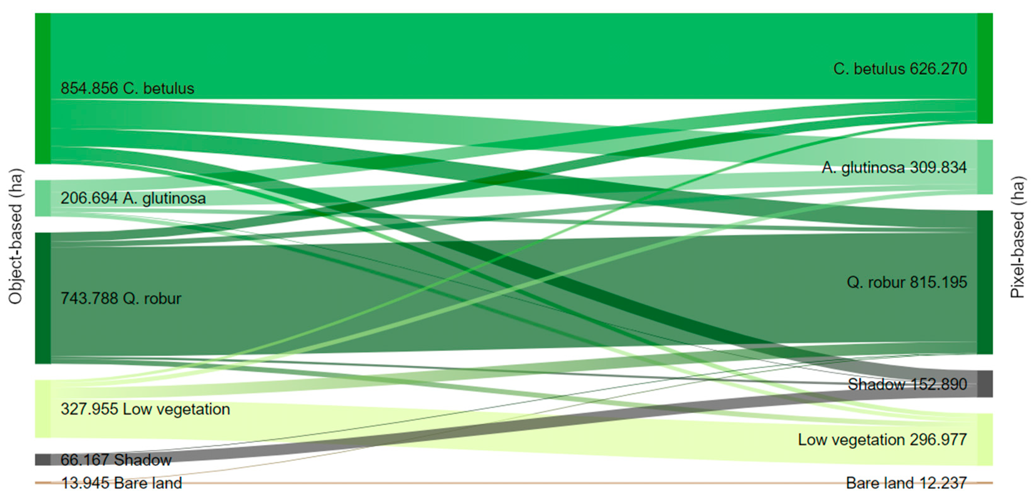 Remotesensing 13 01868 g006