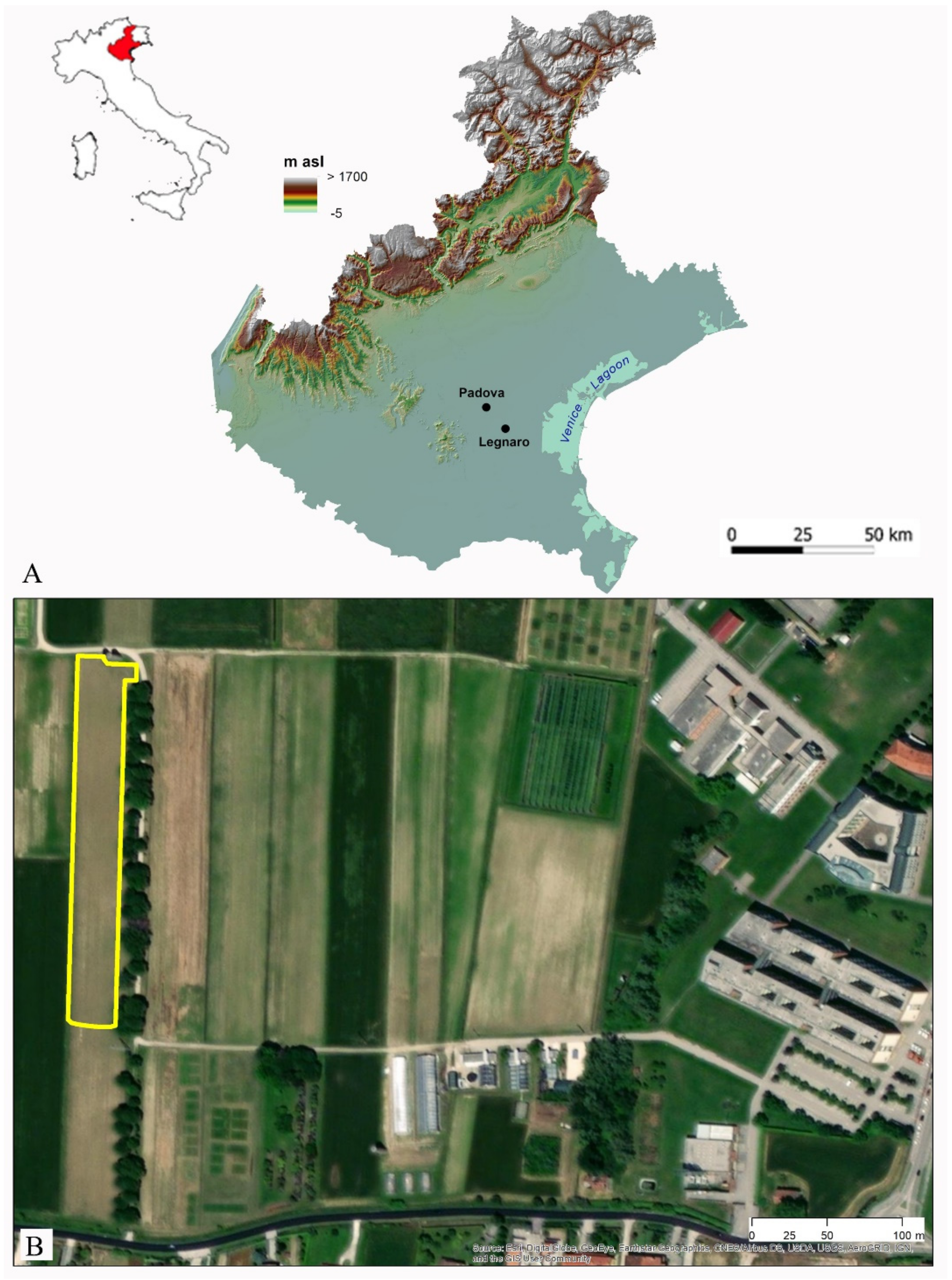 Remotesensing 13 01869 g001