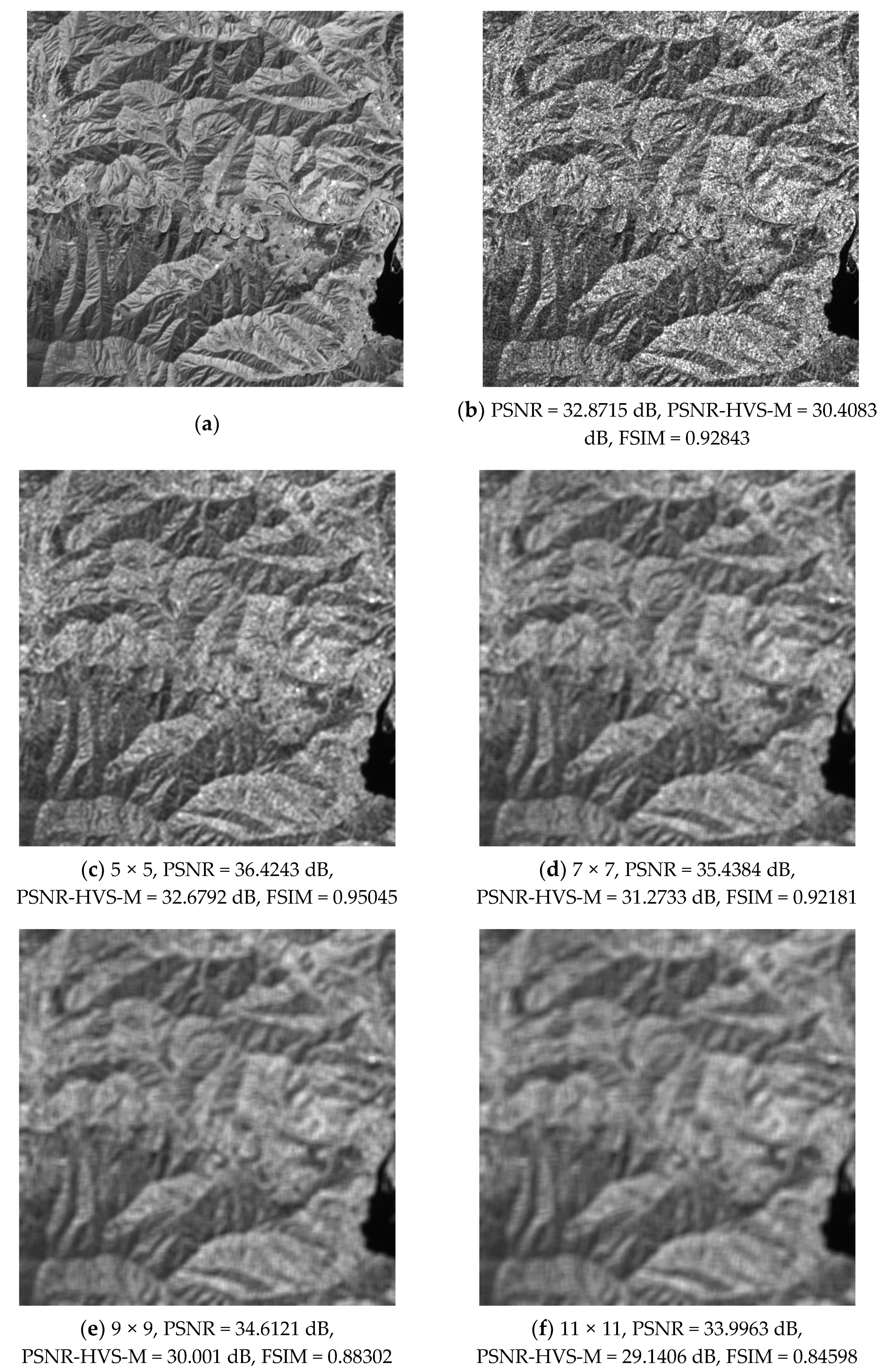 Remotesensing 13 01887 g004