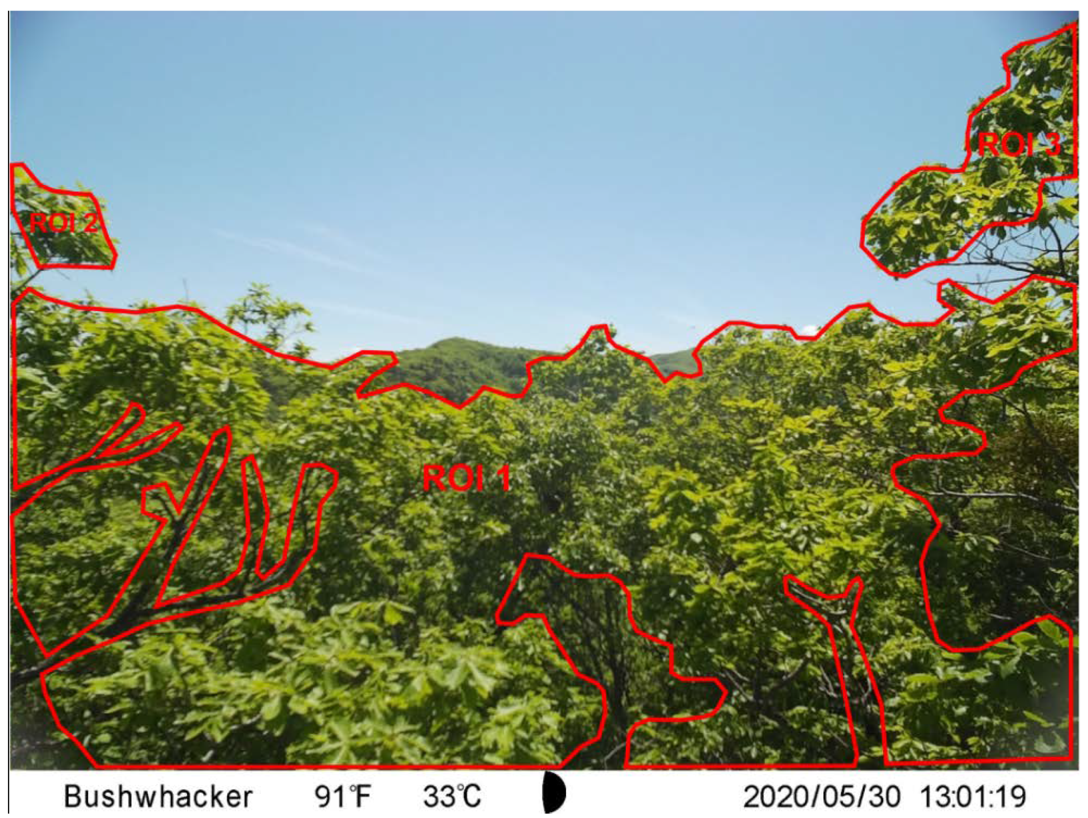 Remotesensing 13 01890 g002