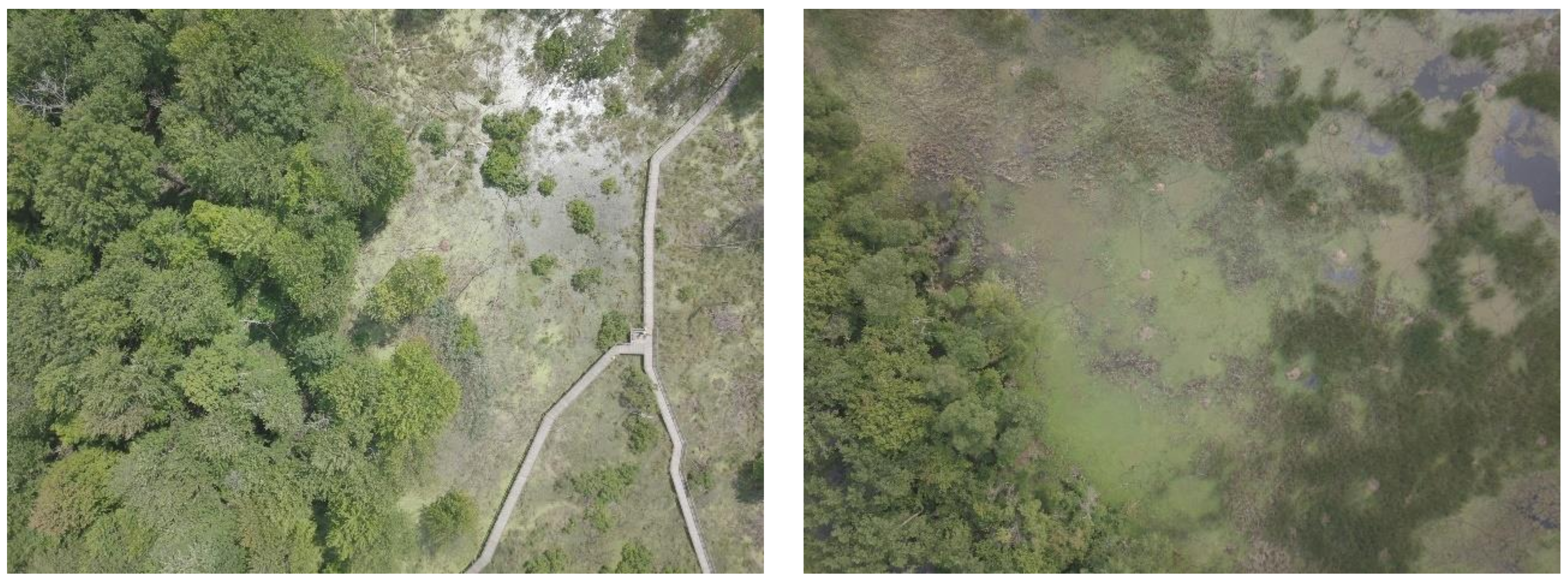 Remotesensing 13 01895 g003