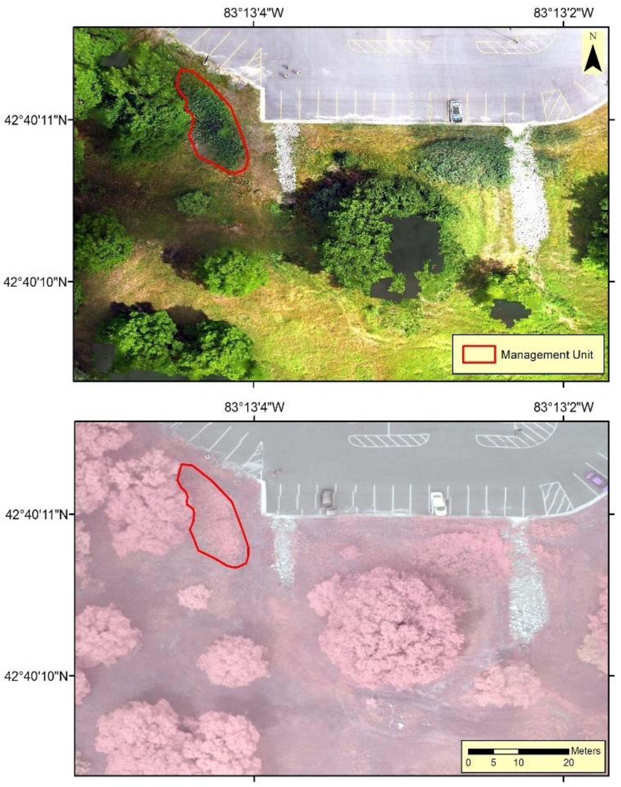 Remotesensing 13 01895 g004