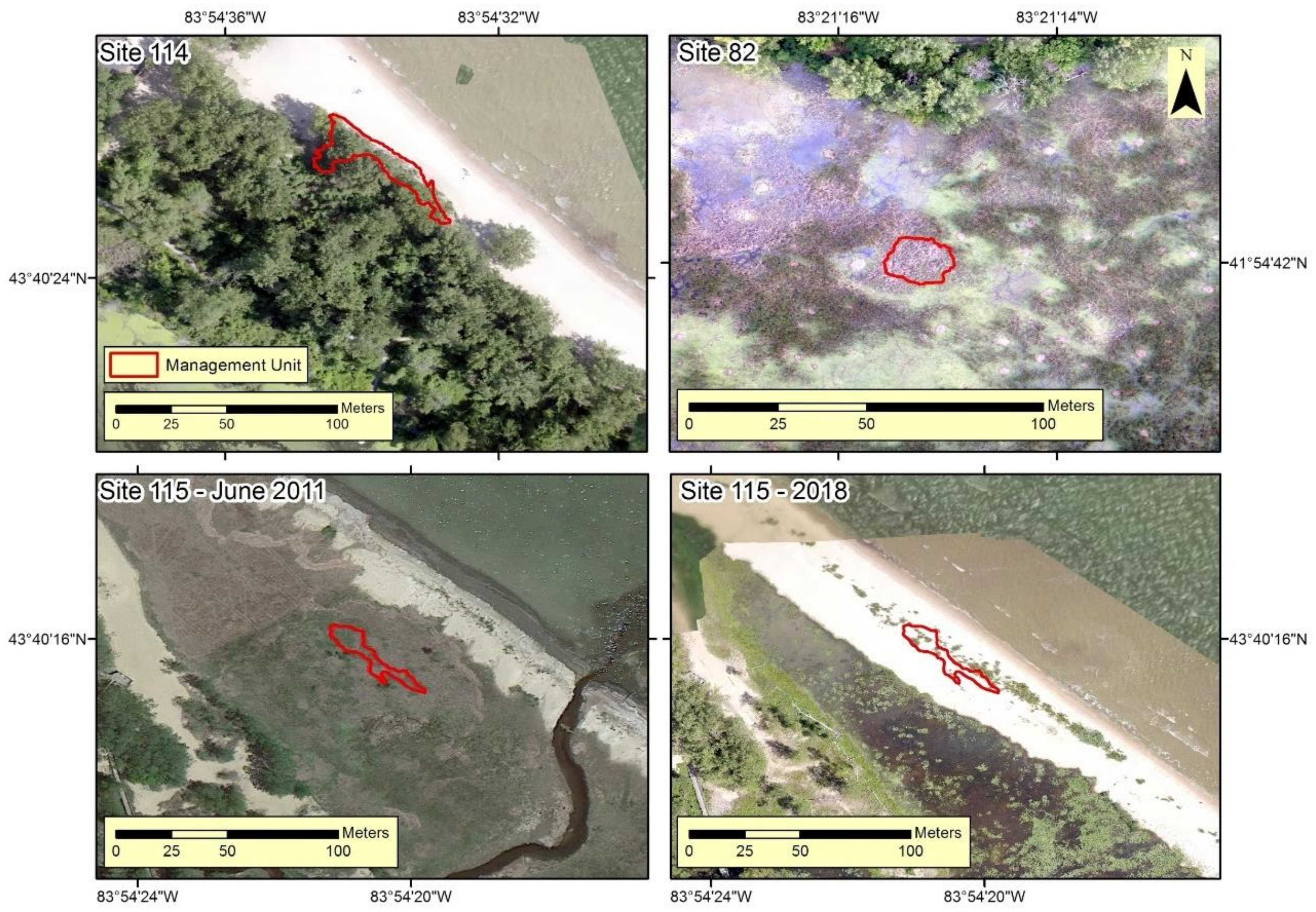 Remotesensing 13 01895 g010