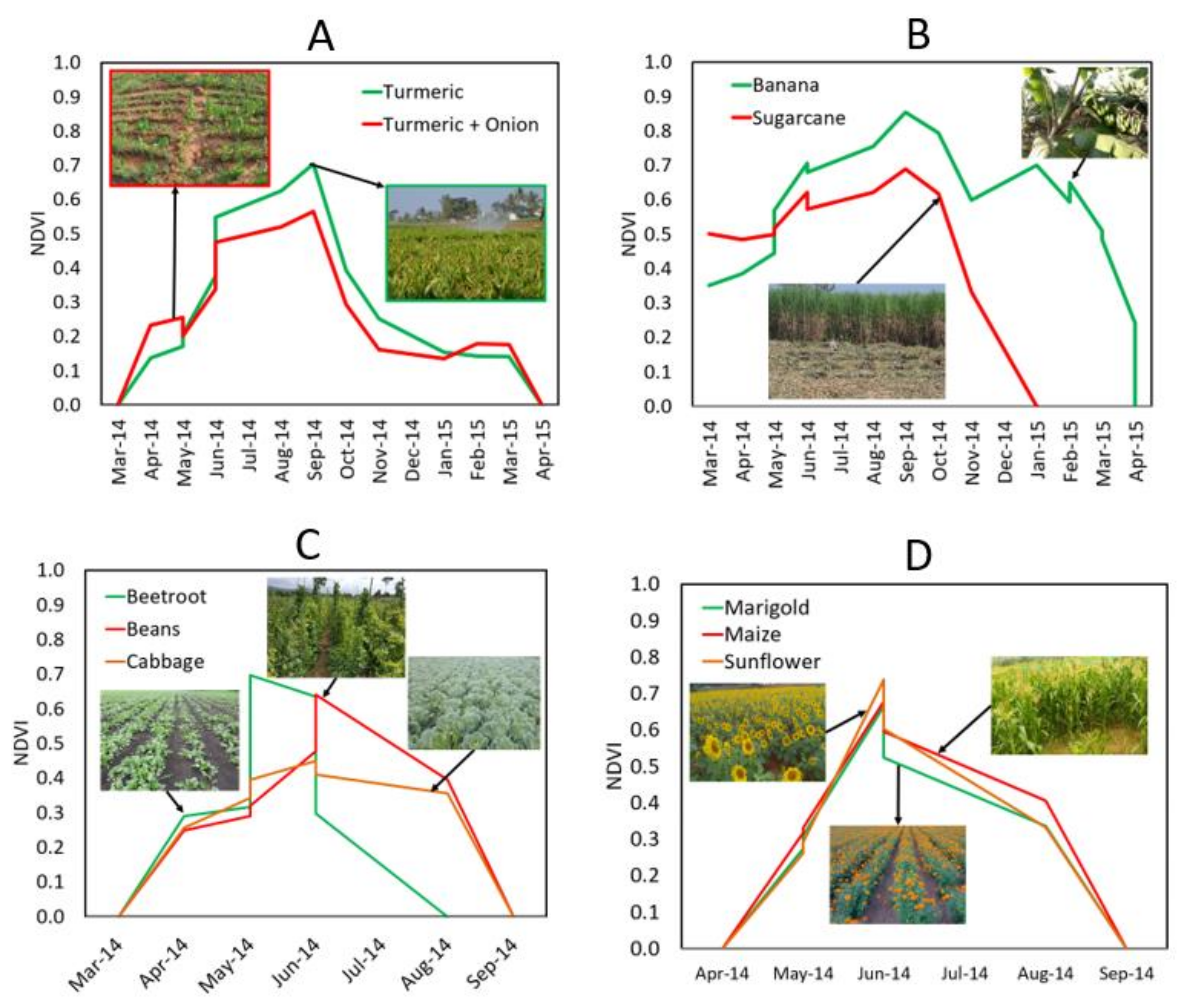 Remotesensing 13 01960 g007