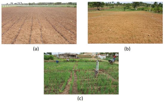 Remotesensing 13 01960 g0a1