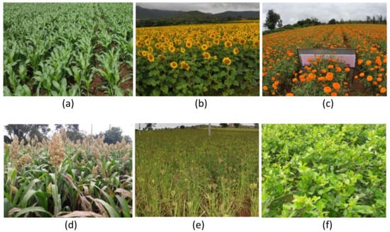 Remotesensing 13 01960 g0a2